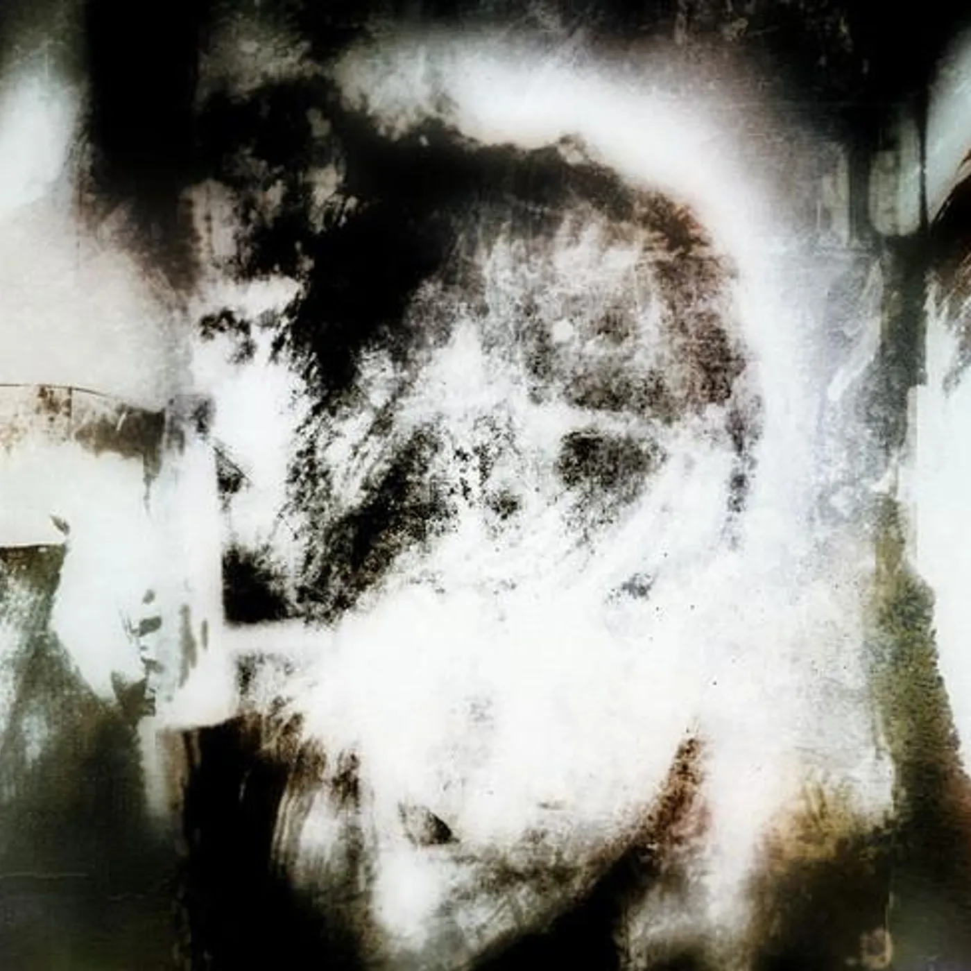 Seasurfer Brand Page