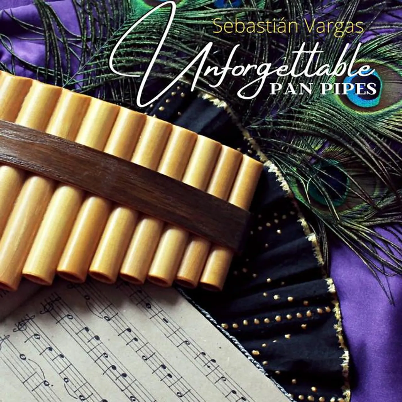 Sebastian Vargas Brand Page