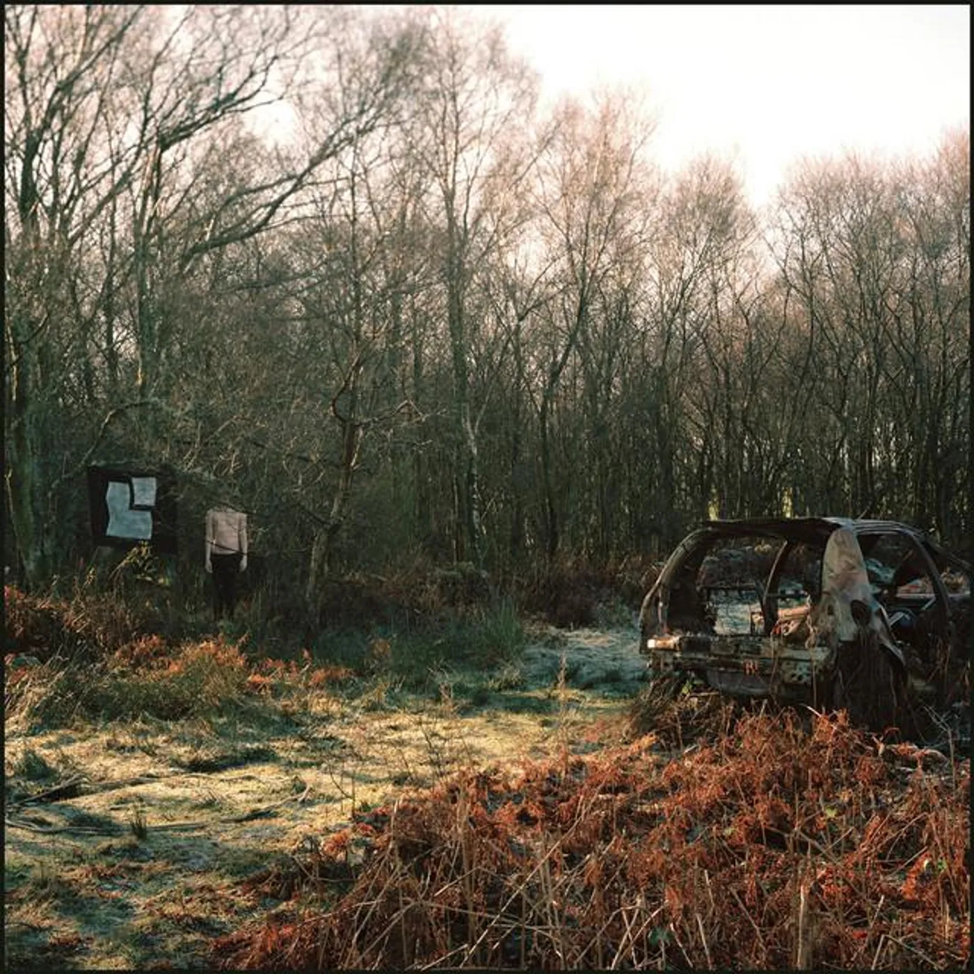 Sectioned Brand Page