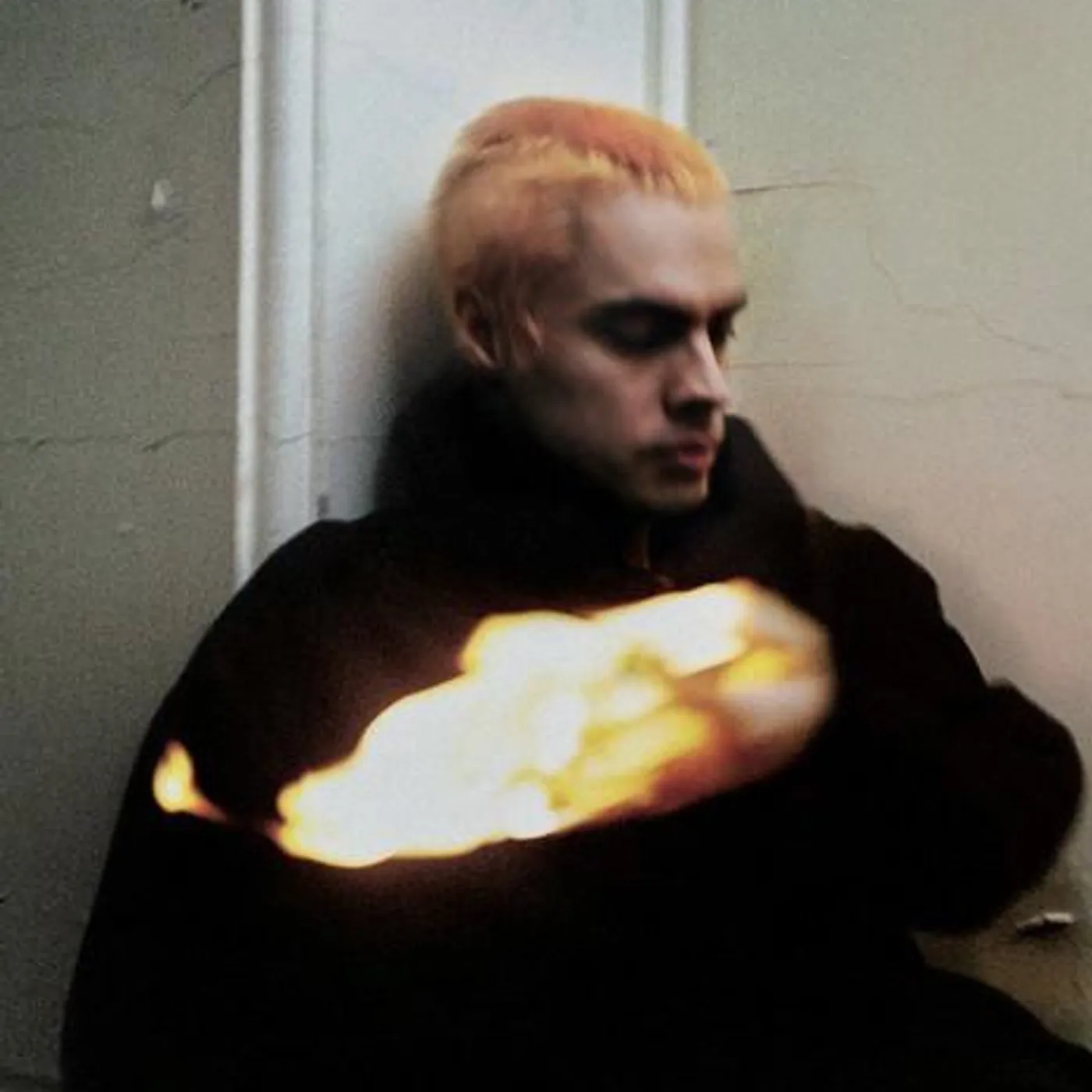 Sega Bodega Brand Page