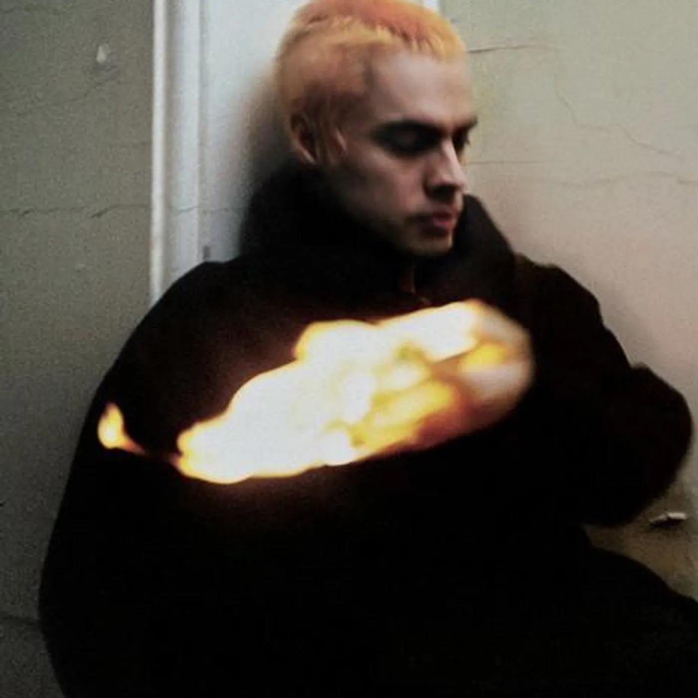 Sega Bodega Brand Page