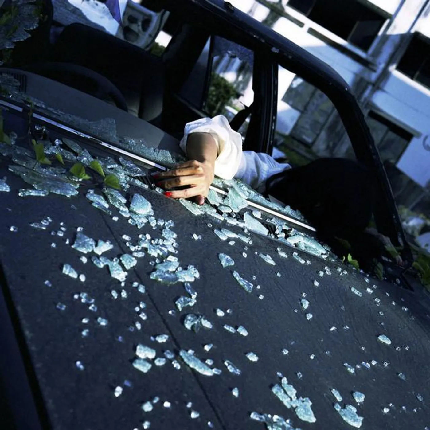 Selvática Brand Page