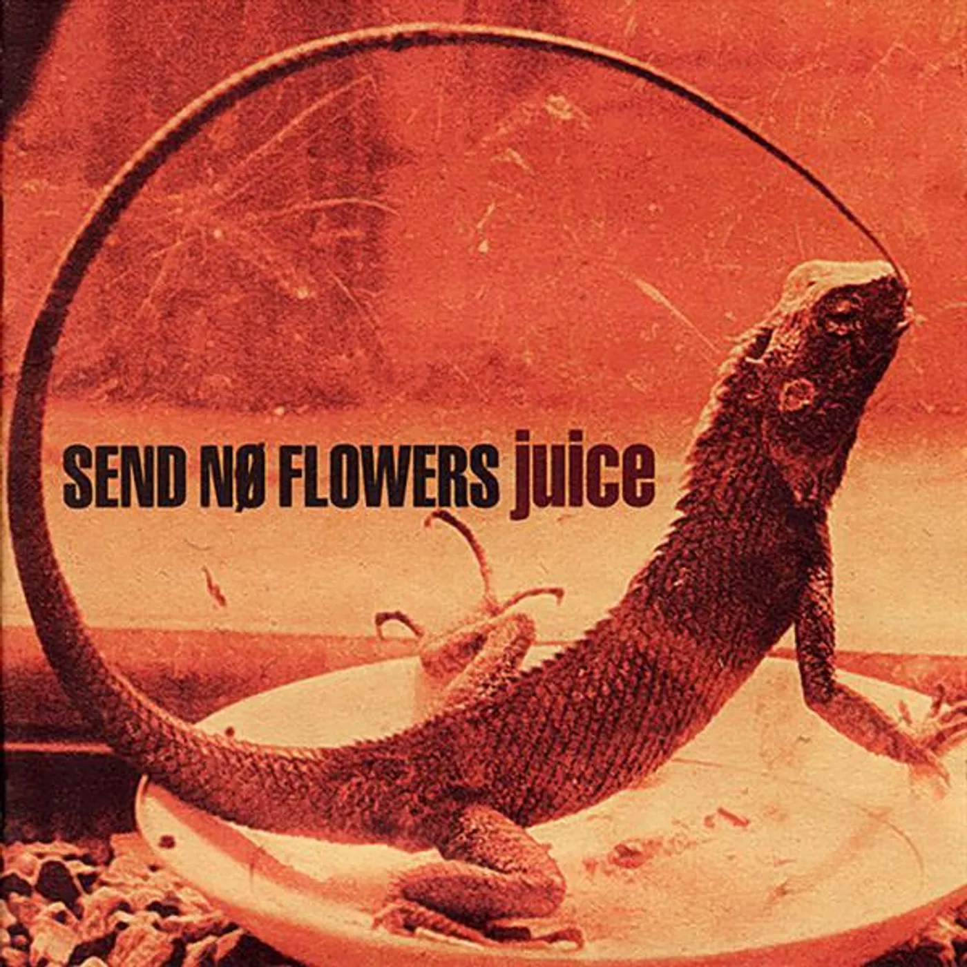 Send No Flowers