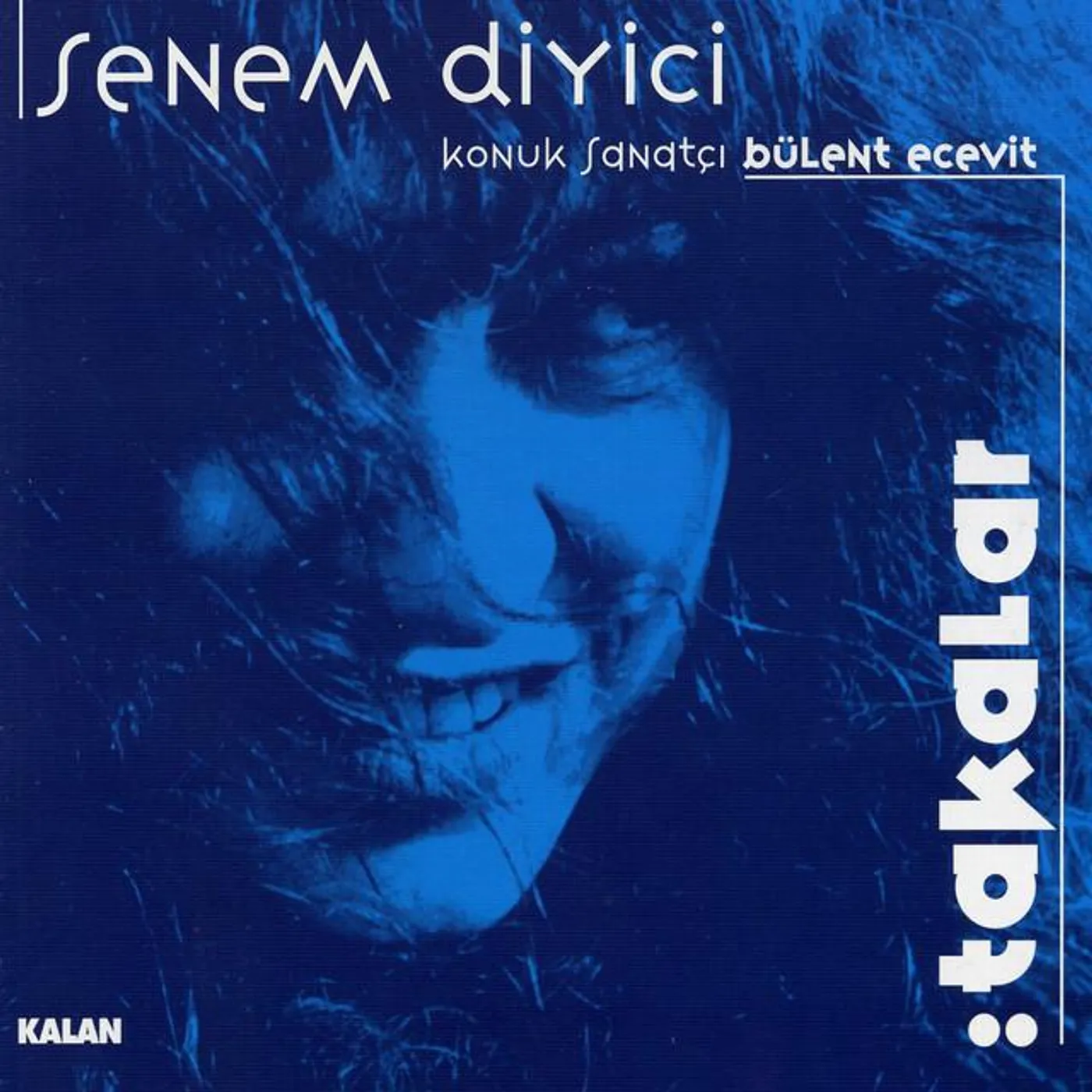 Senem Diyici Quartet