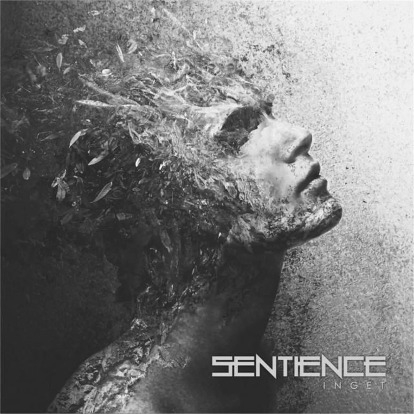 Sentience