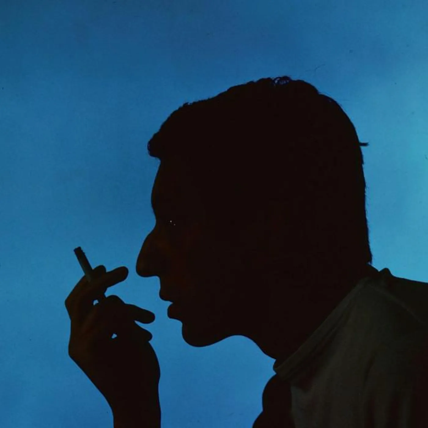 Serge Gainsbourg Brand Page