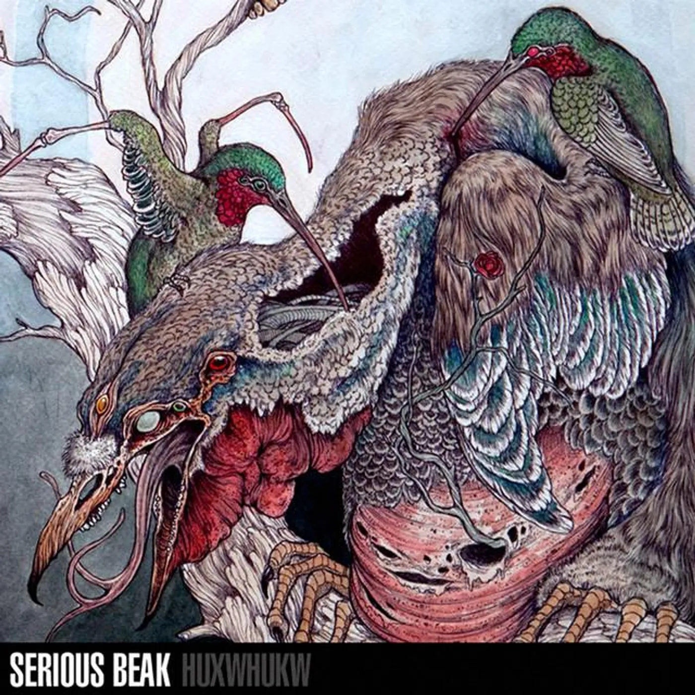 Serious Beak