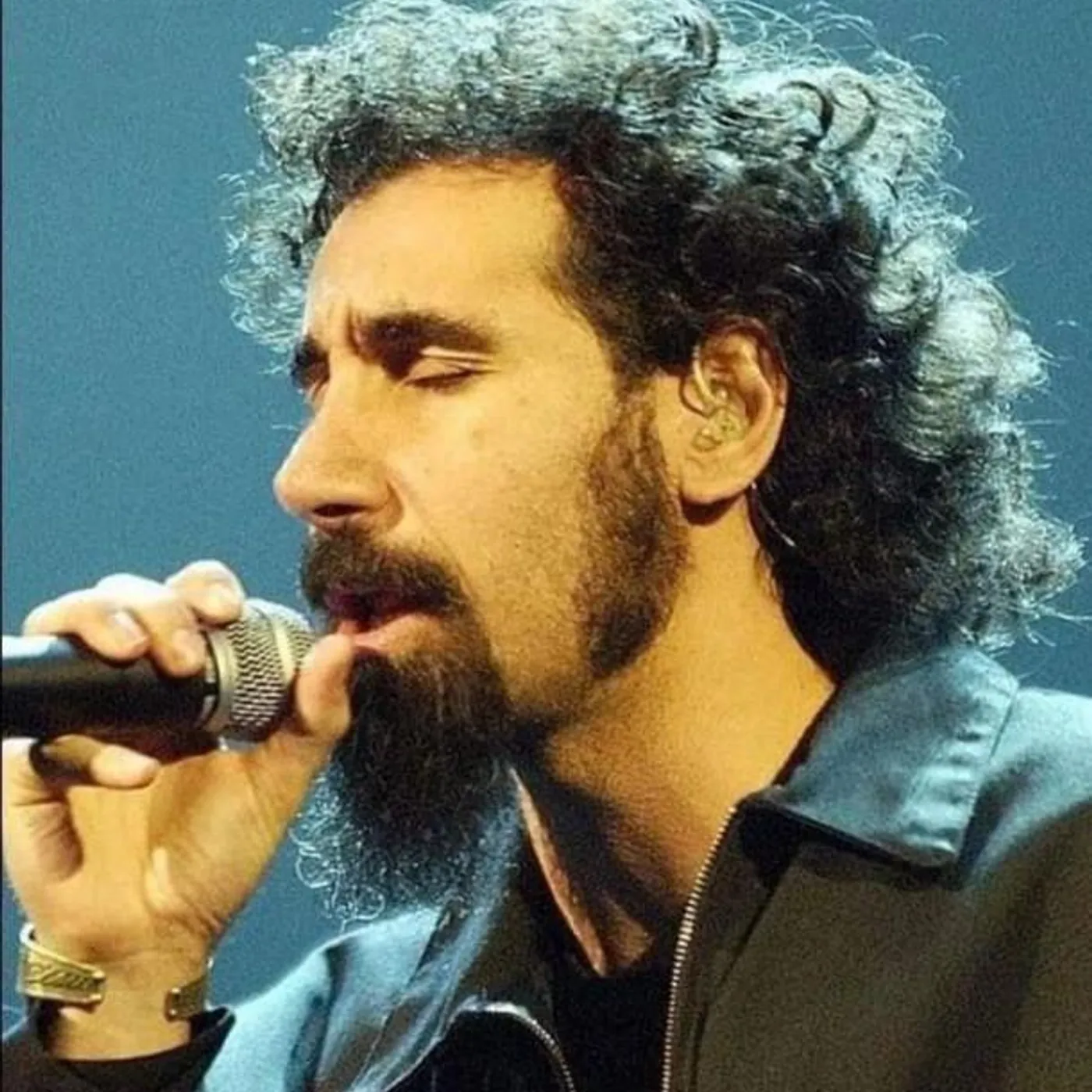 Serj Tankian Brand Page