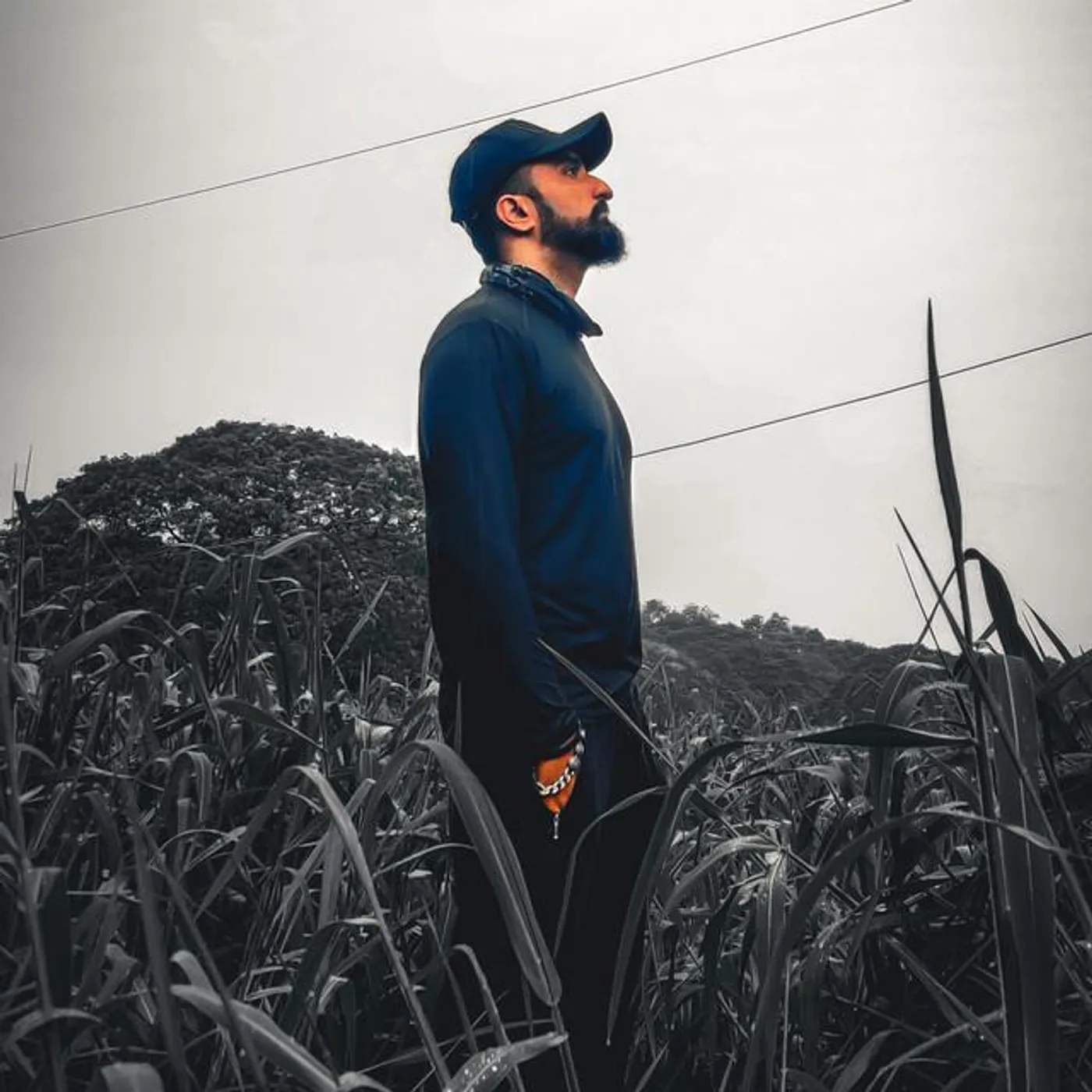 Shabdkaari Brand Page