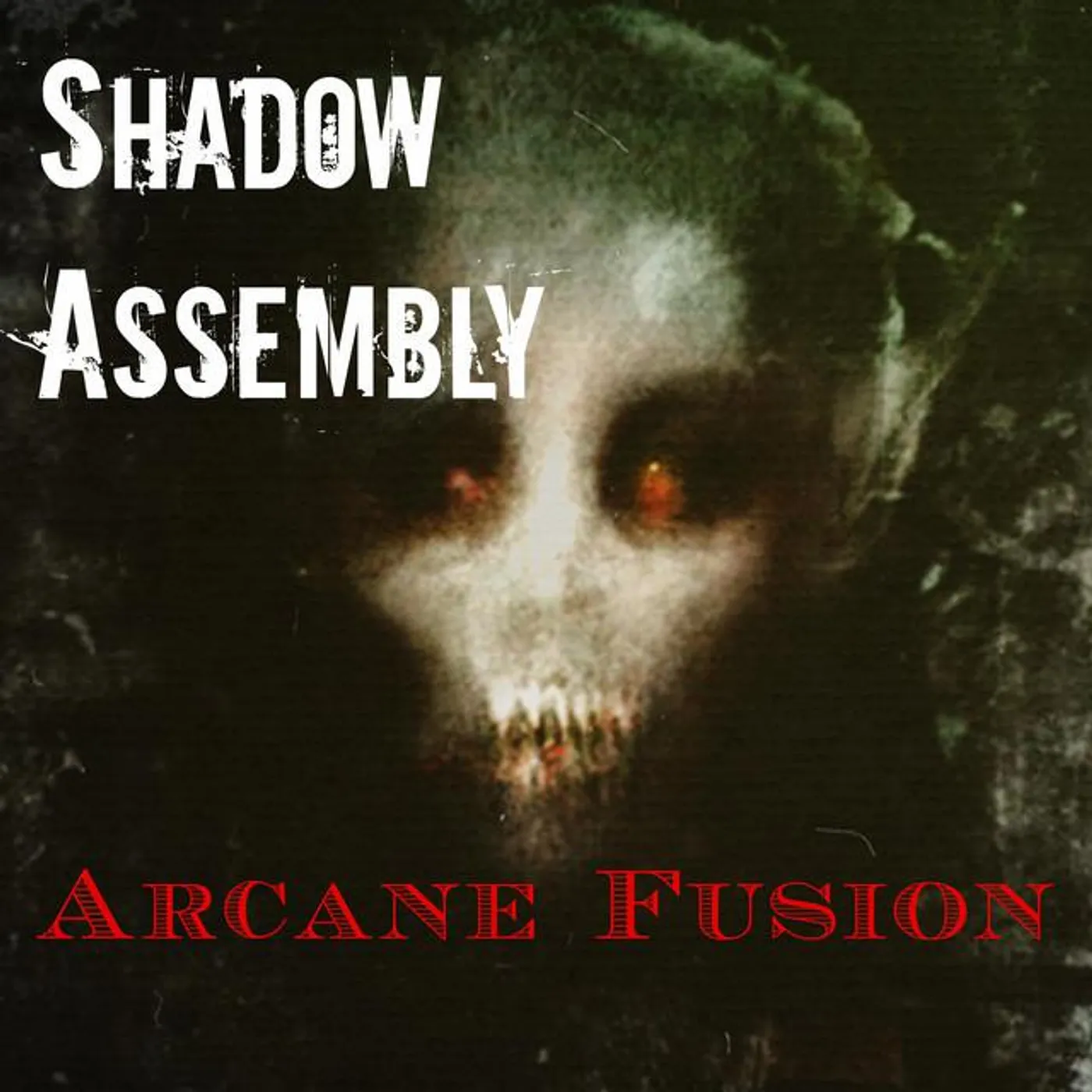 Shadow Assembly