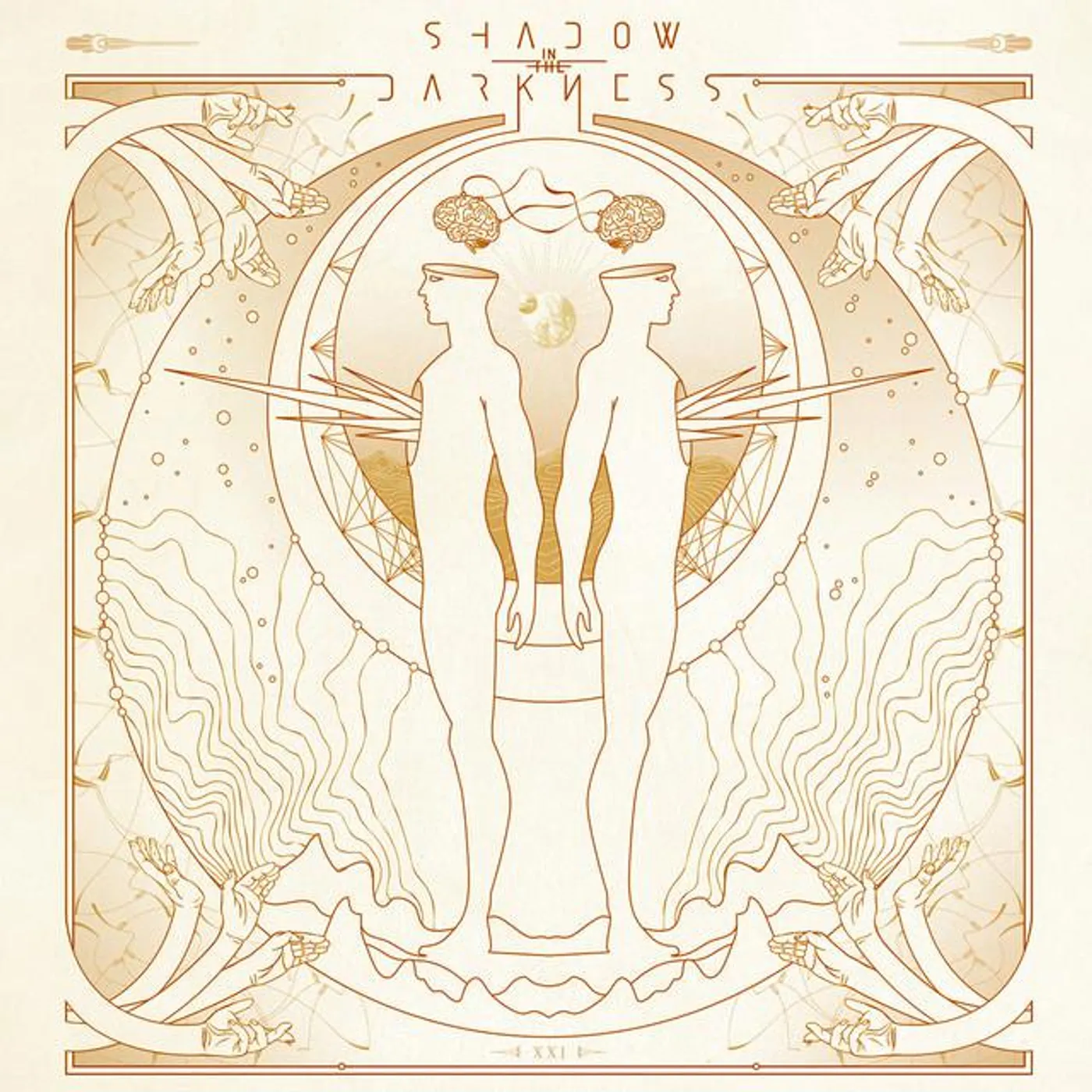 Shadow in the Darkness