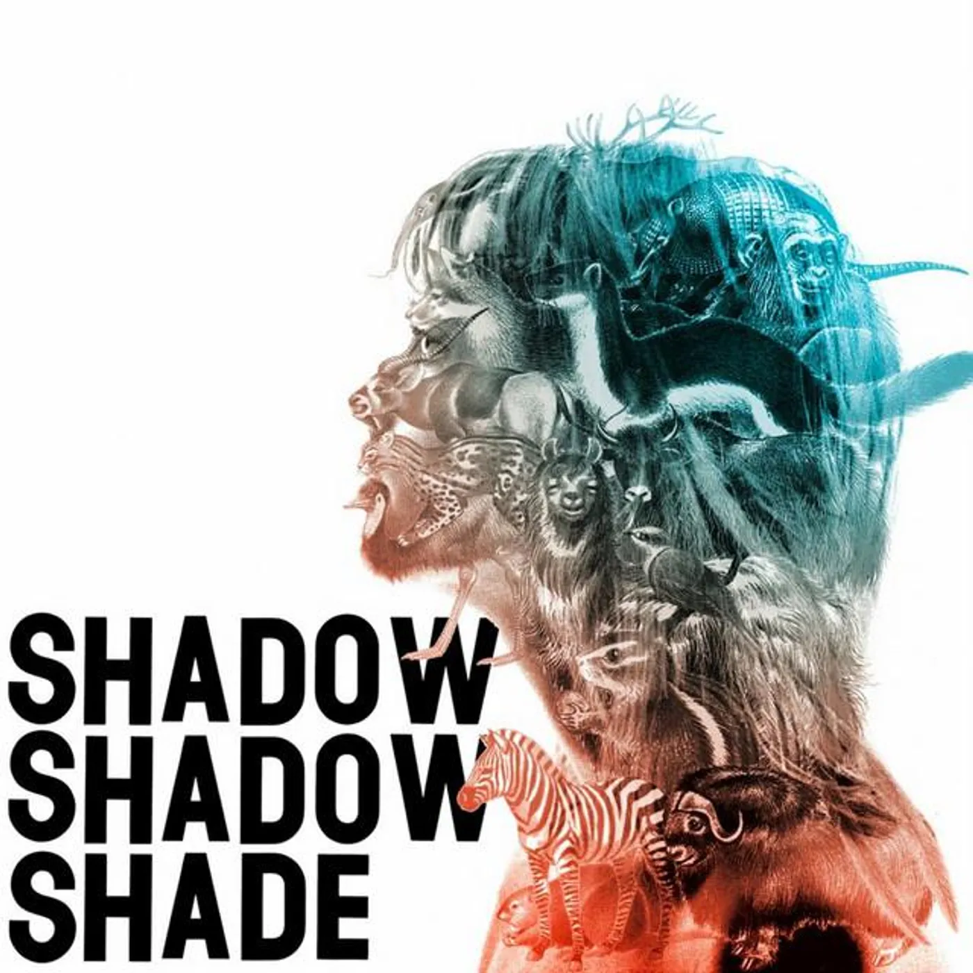 Shadow Shadow Shade Brand Page