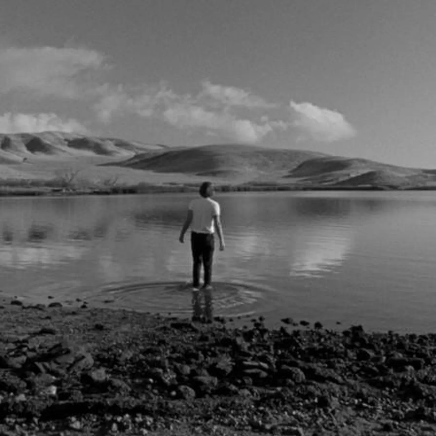 The Shakes Brand Page