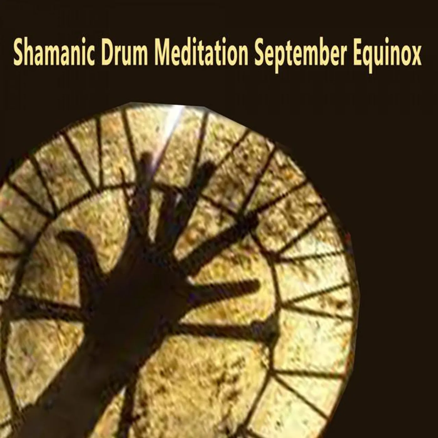 Shamanic Drum Meditation Brand Page