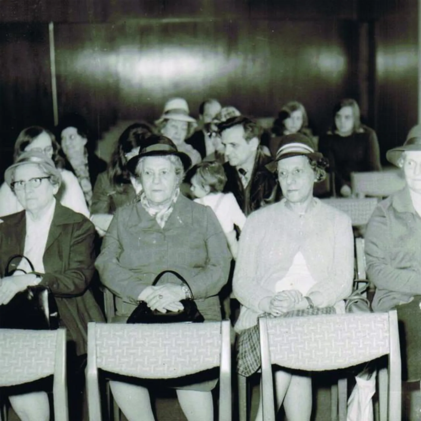 Shany Kedar Brand Page