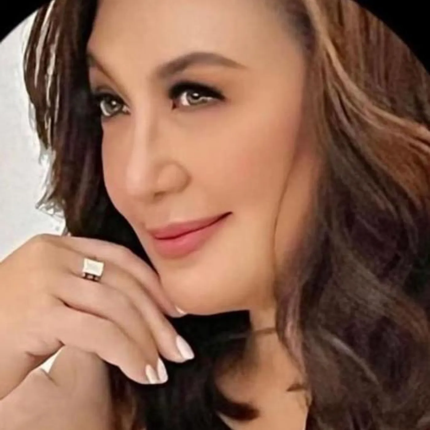 Sharon Cuneta Brand Page