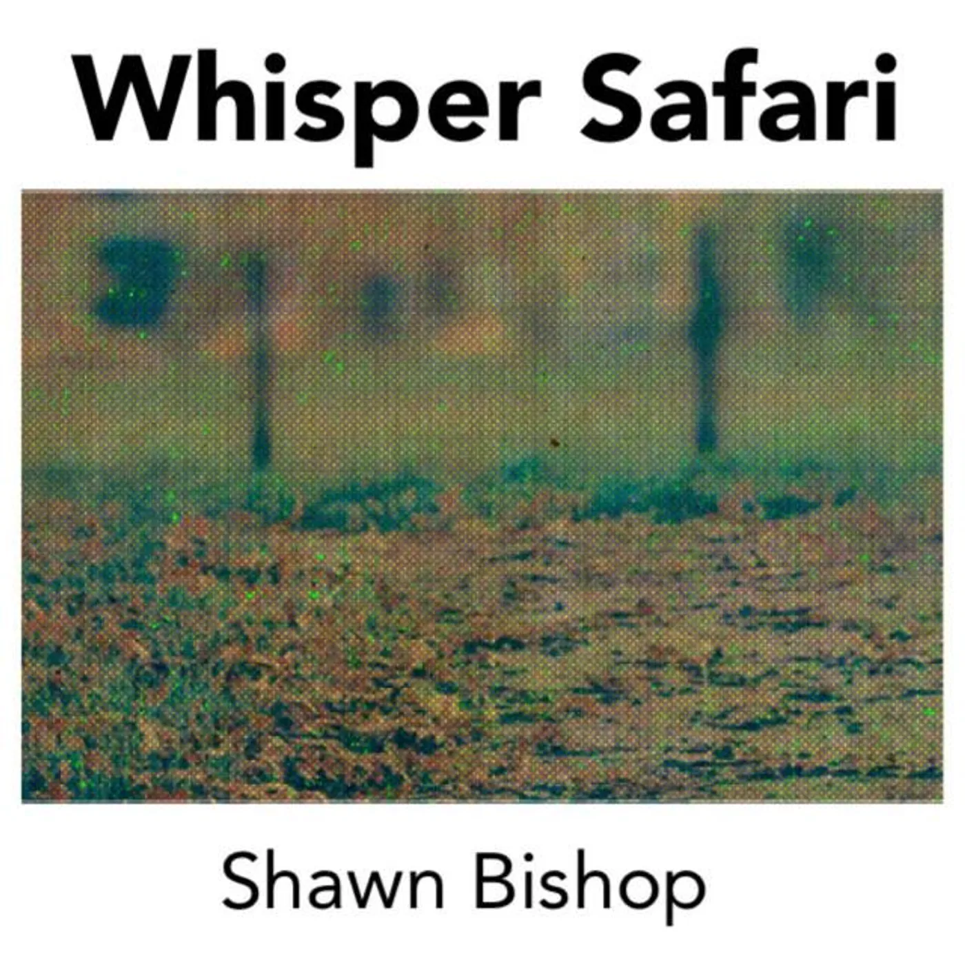 Shawn Bishop Brand Page