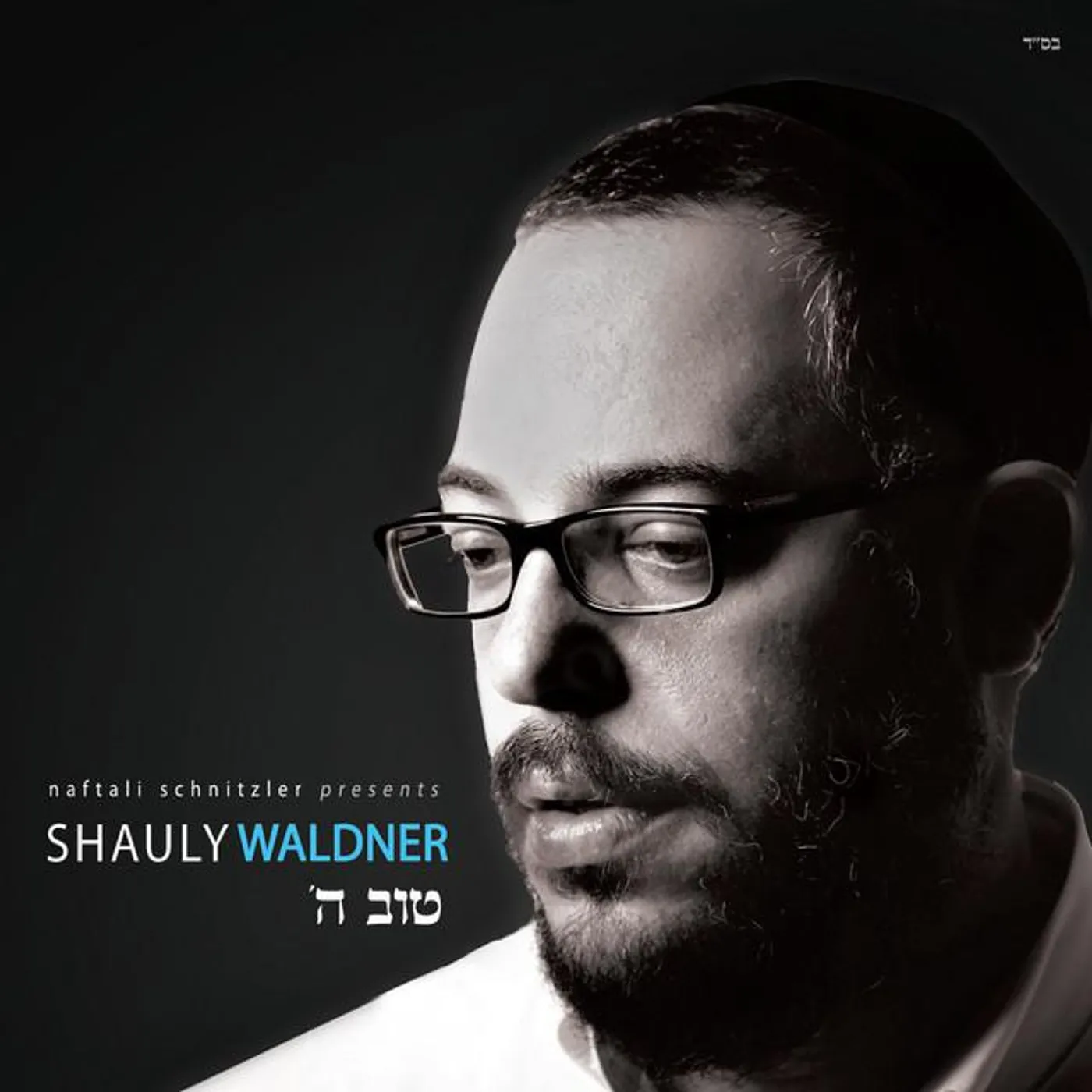 Shauly Waldner Brand Page