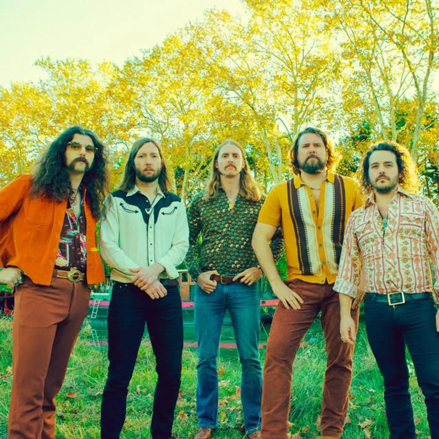 The Sheepdogs
