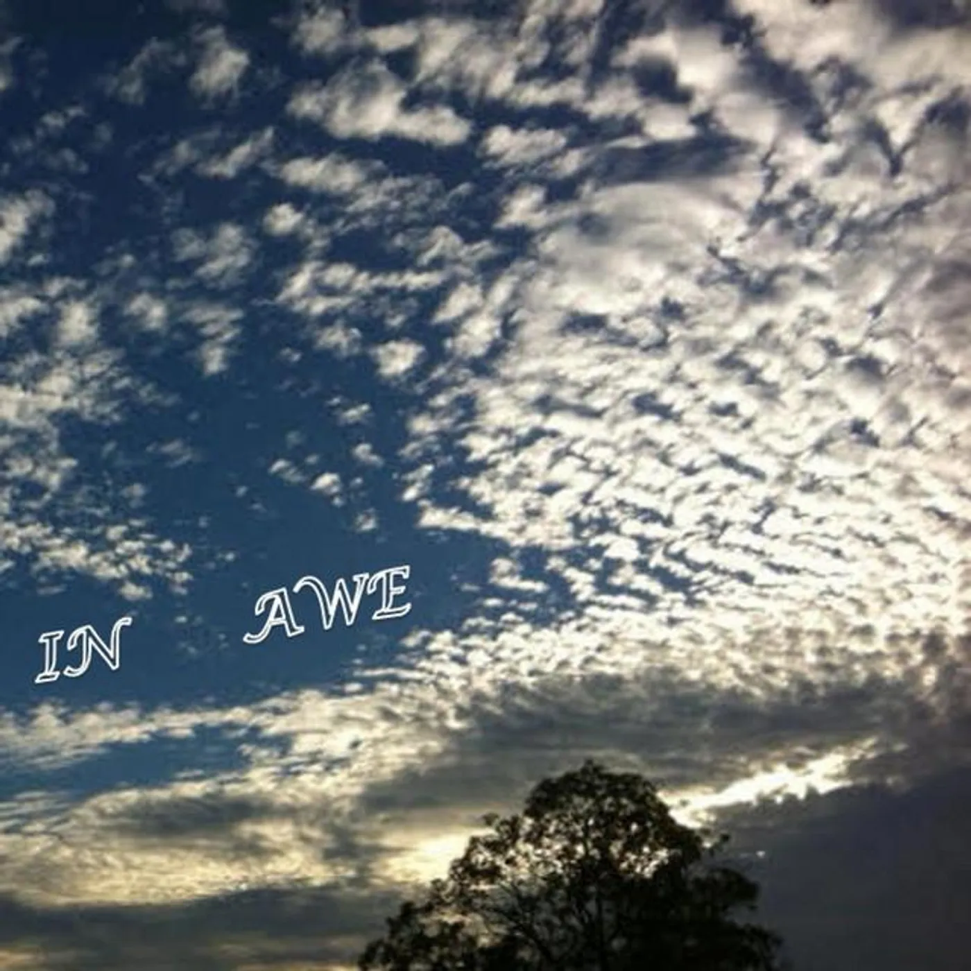 Sheyda Peyman Brand Page