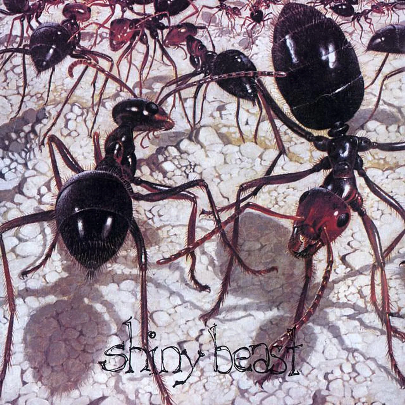 Shiny Beast Brand Page