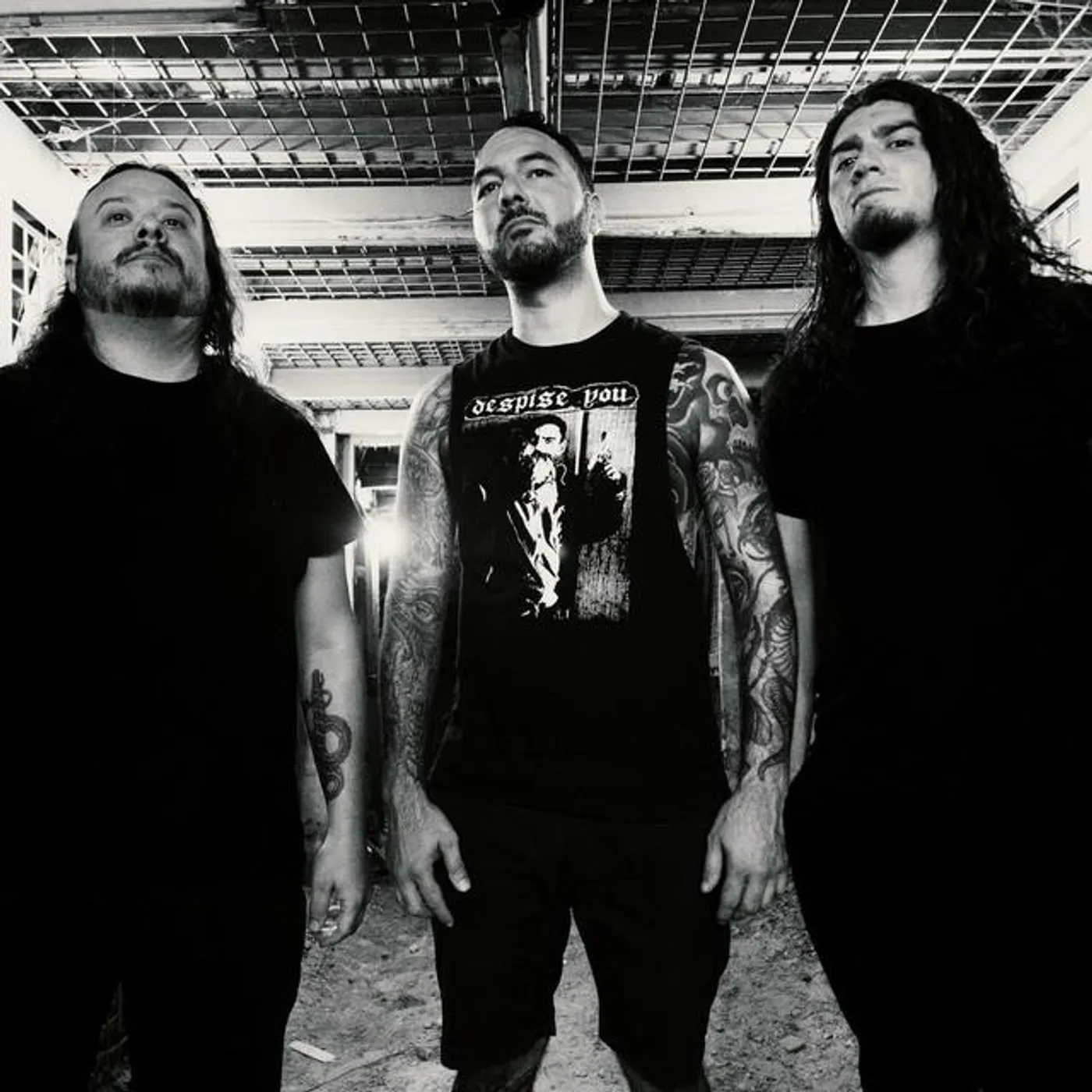 Shock Withdrawal Brand Page