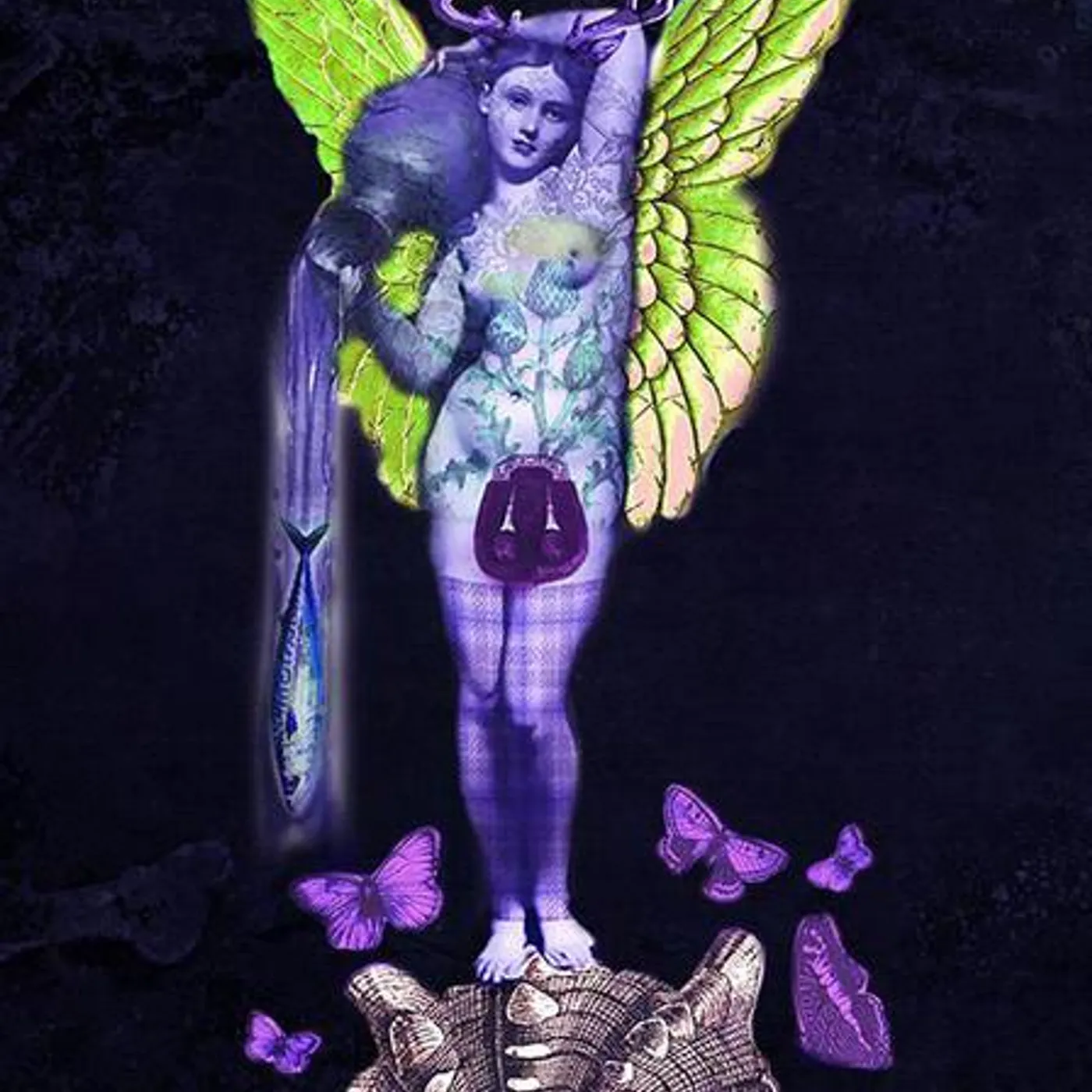 Shooglenifty Brand Page