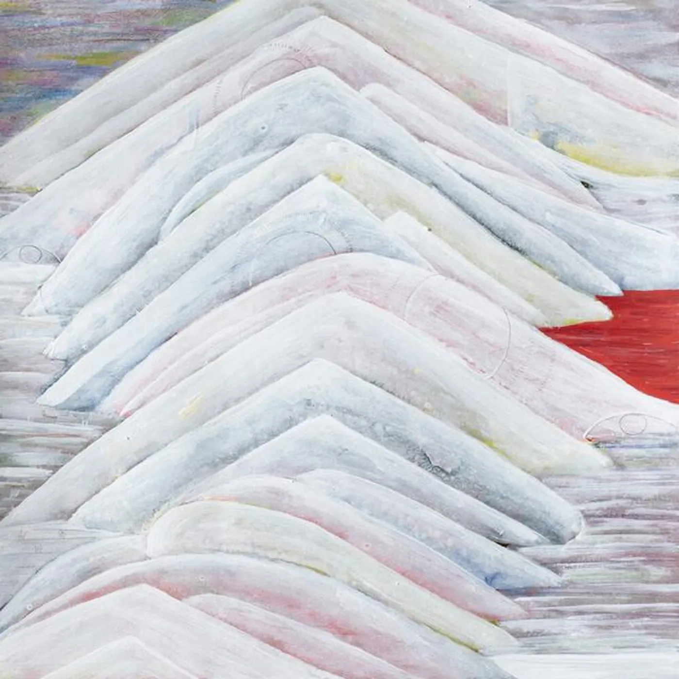 Shout Wellington Air Force Brand Page