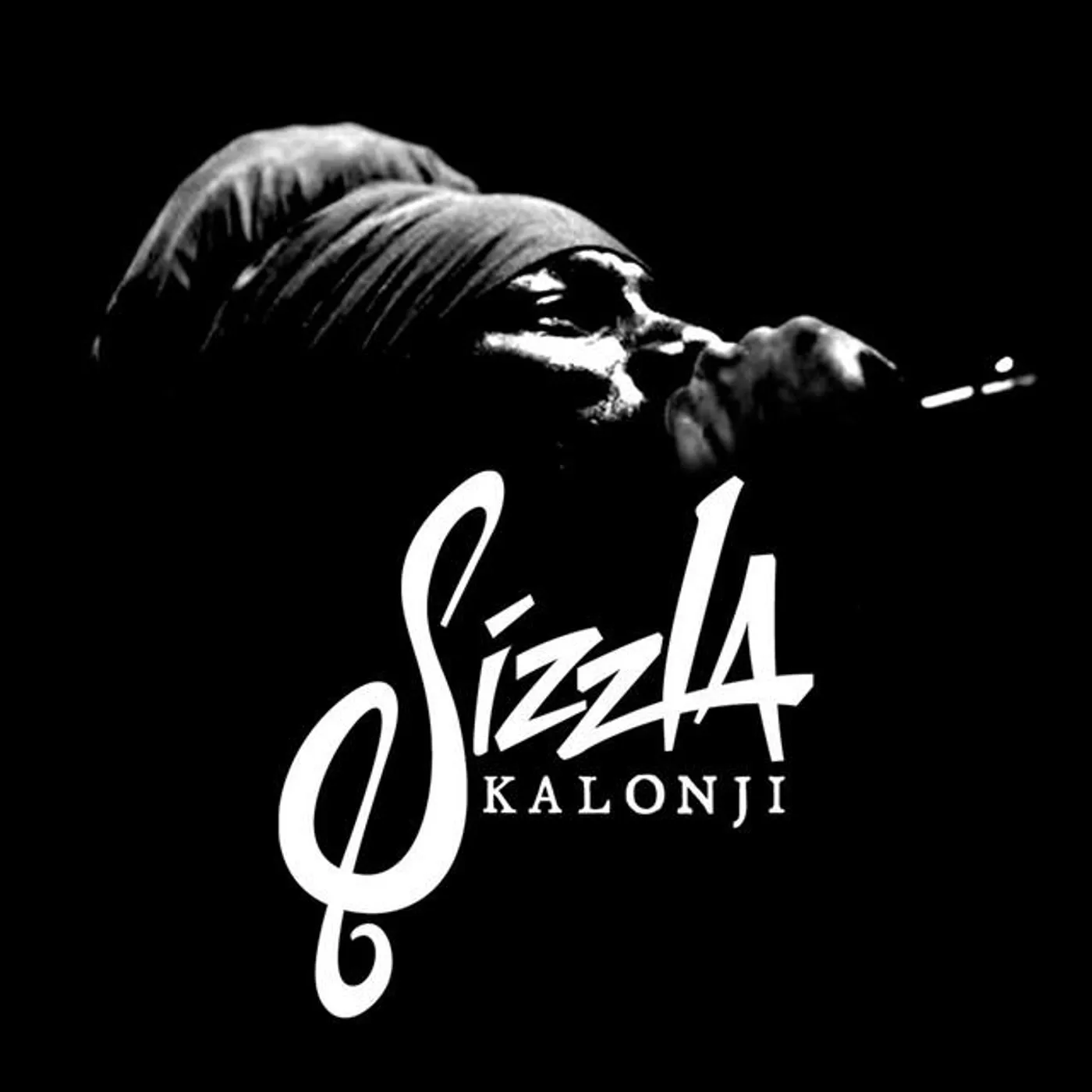 Sizzla Brand Page