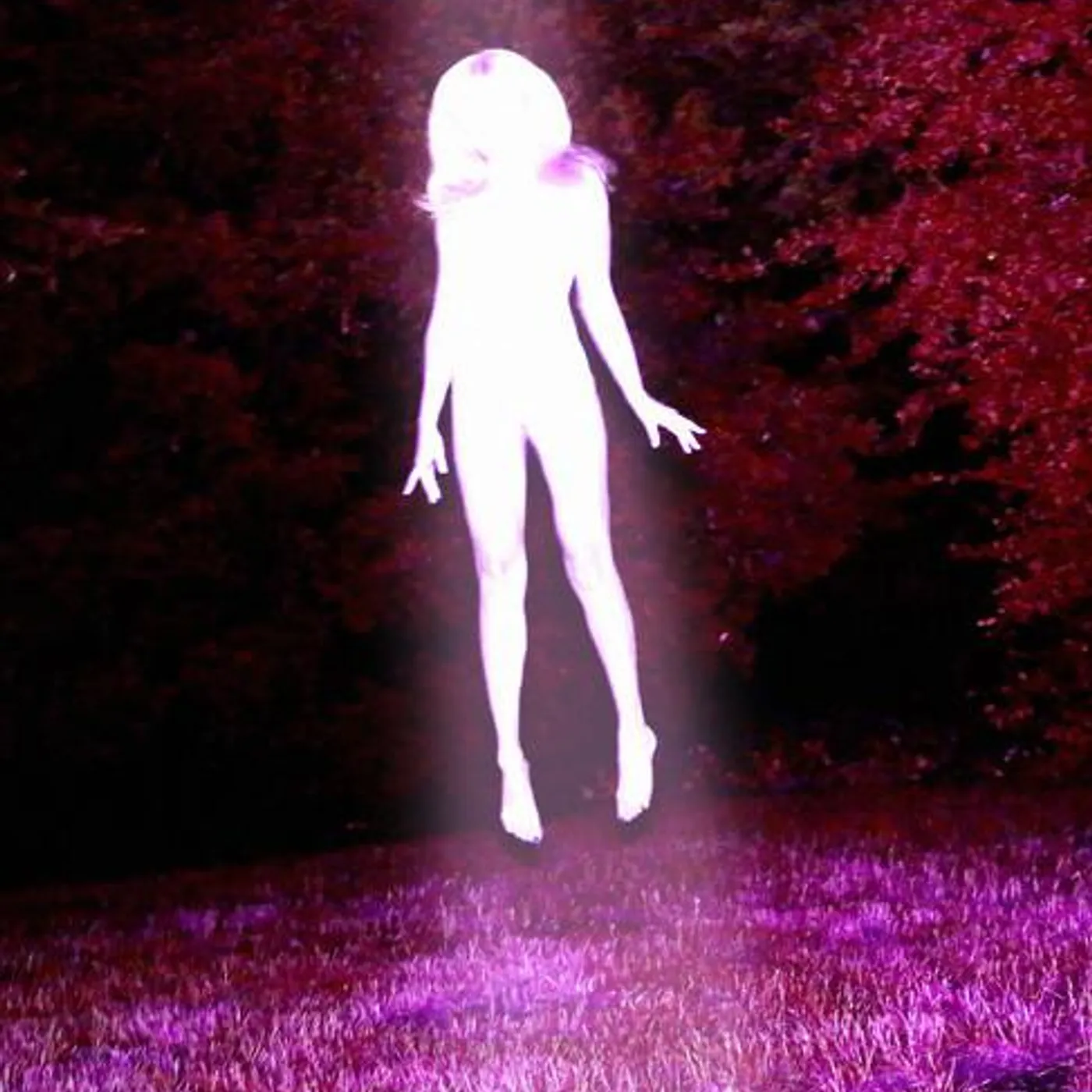 Sidewalks and Skeletons Brand Page