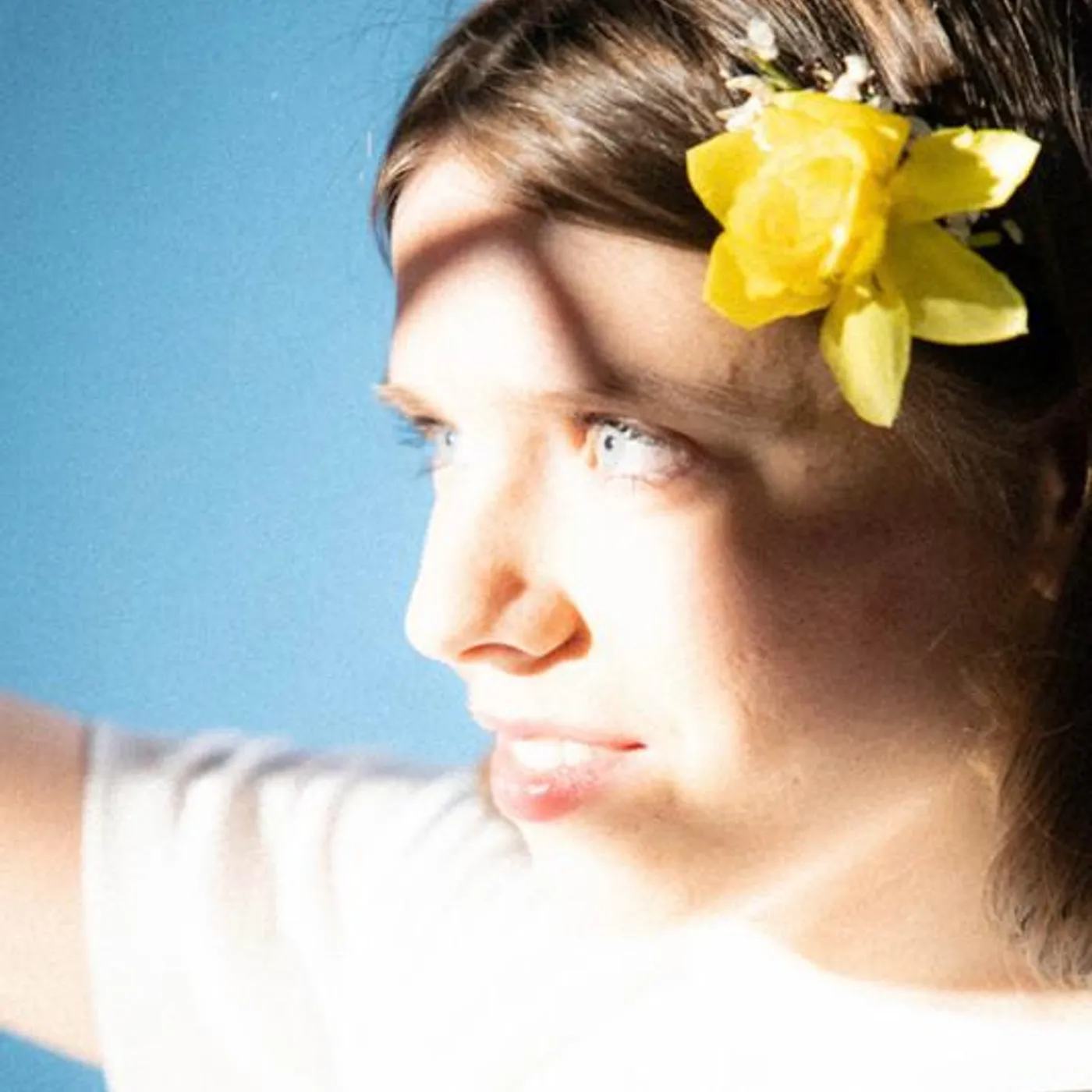 Sign Libra Brand Page