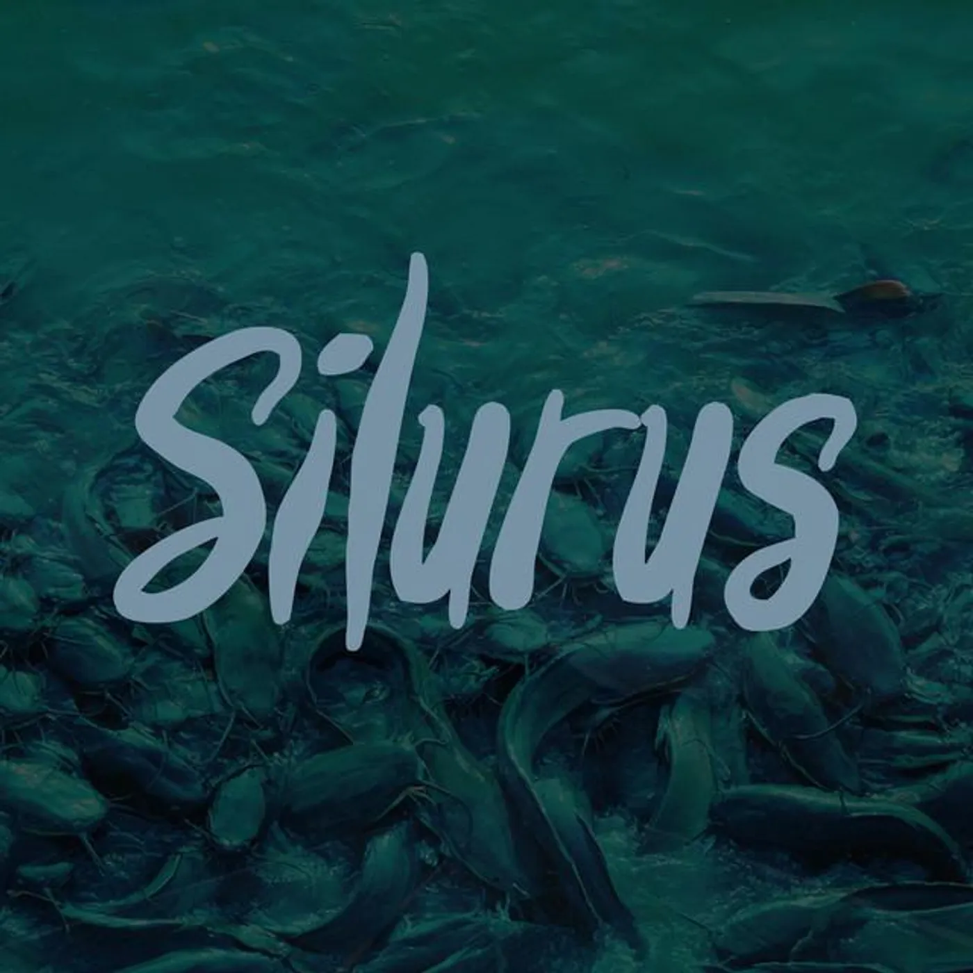 Silurus