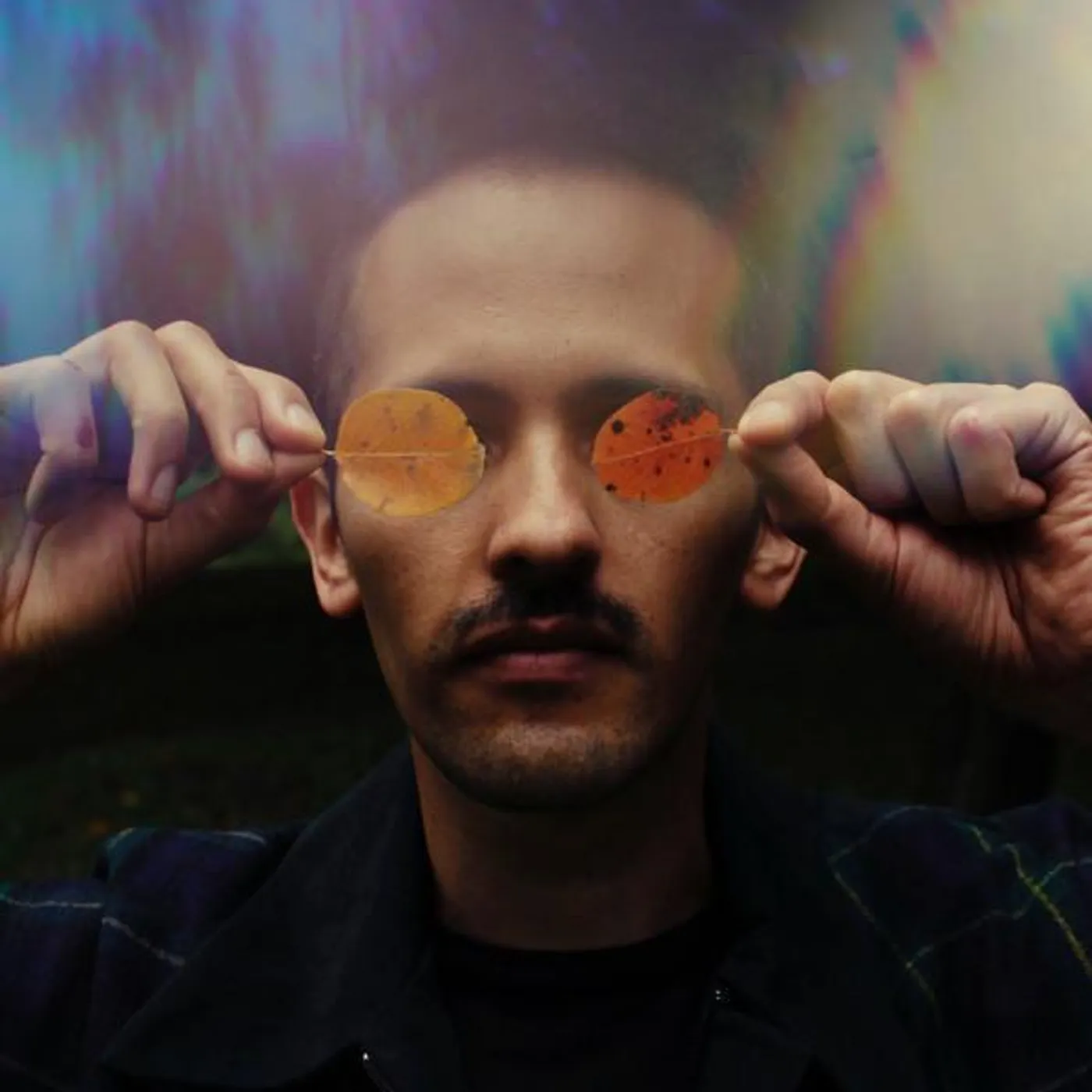 Silva de Alegría Brand Page