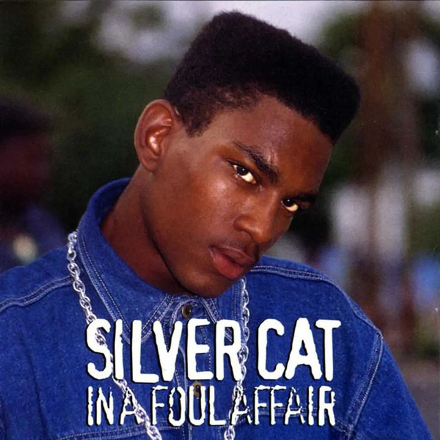 Silver Cat Brand Page