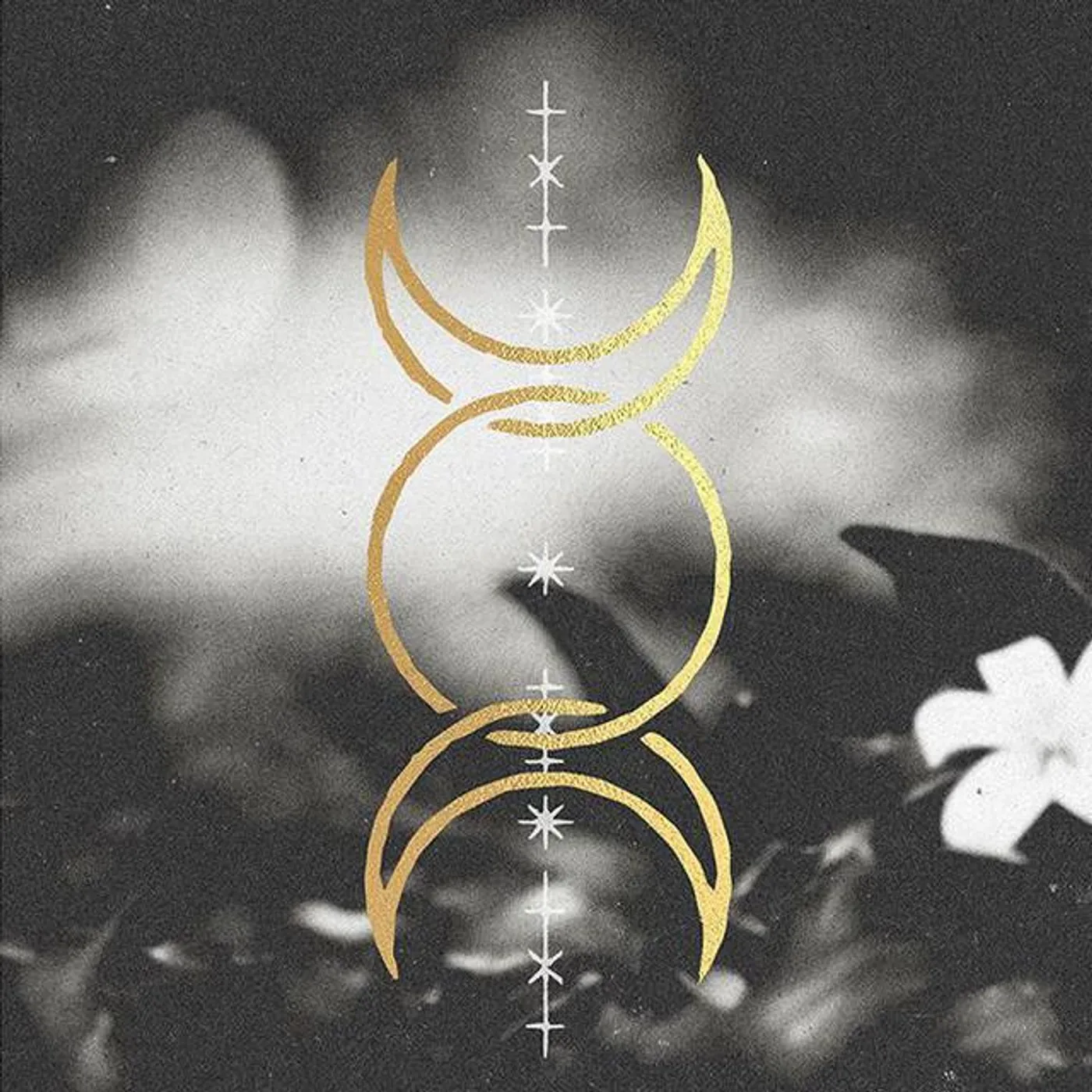 Silver Snakes Brand Page