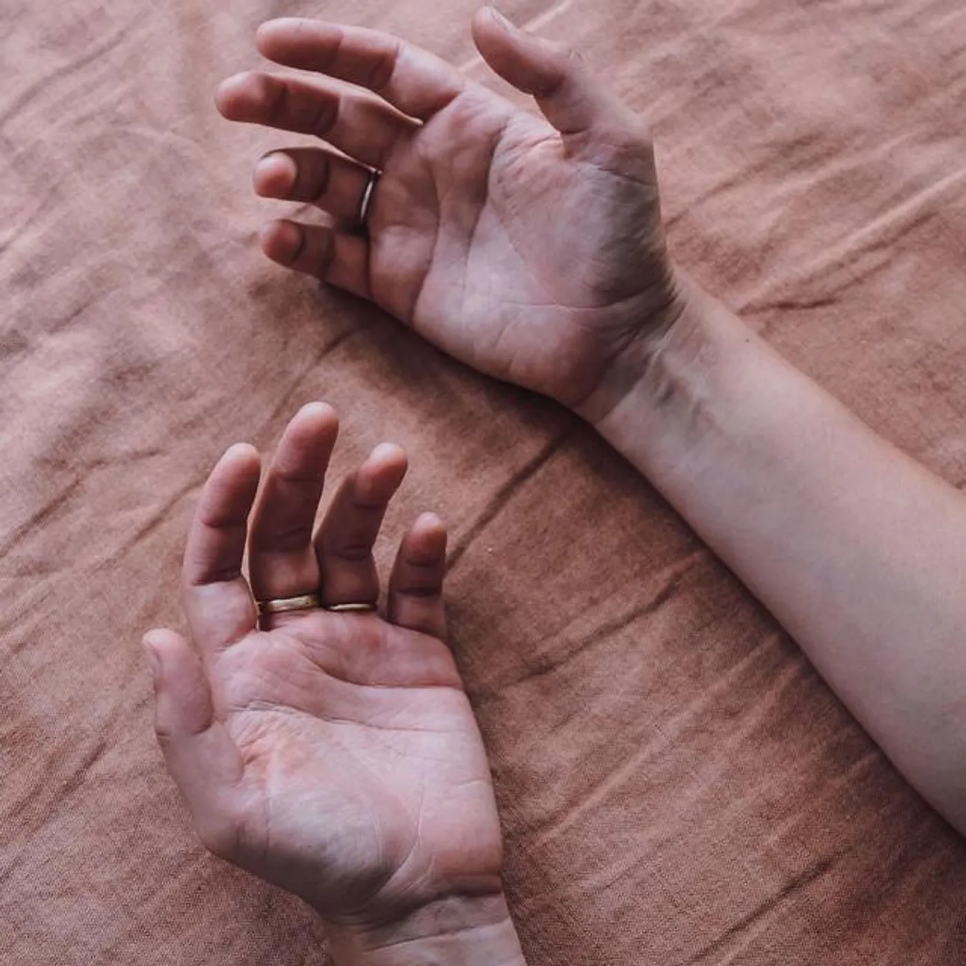 Silver Wattle Brand Page