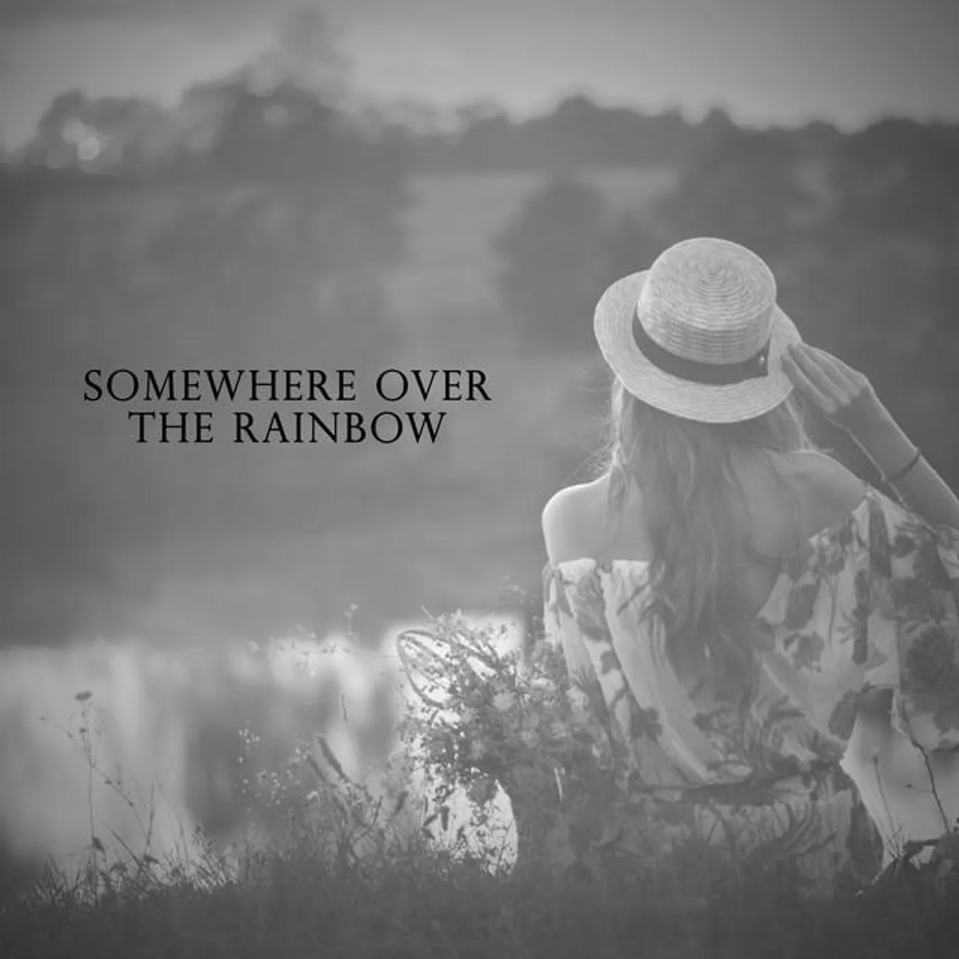 Sim Tillis Brand Page