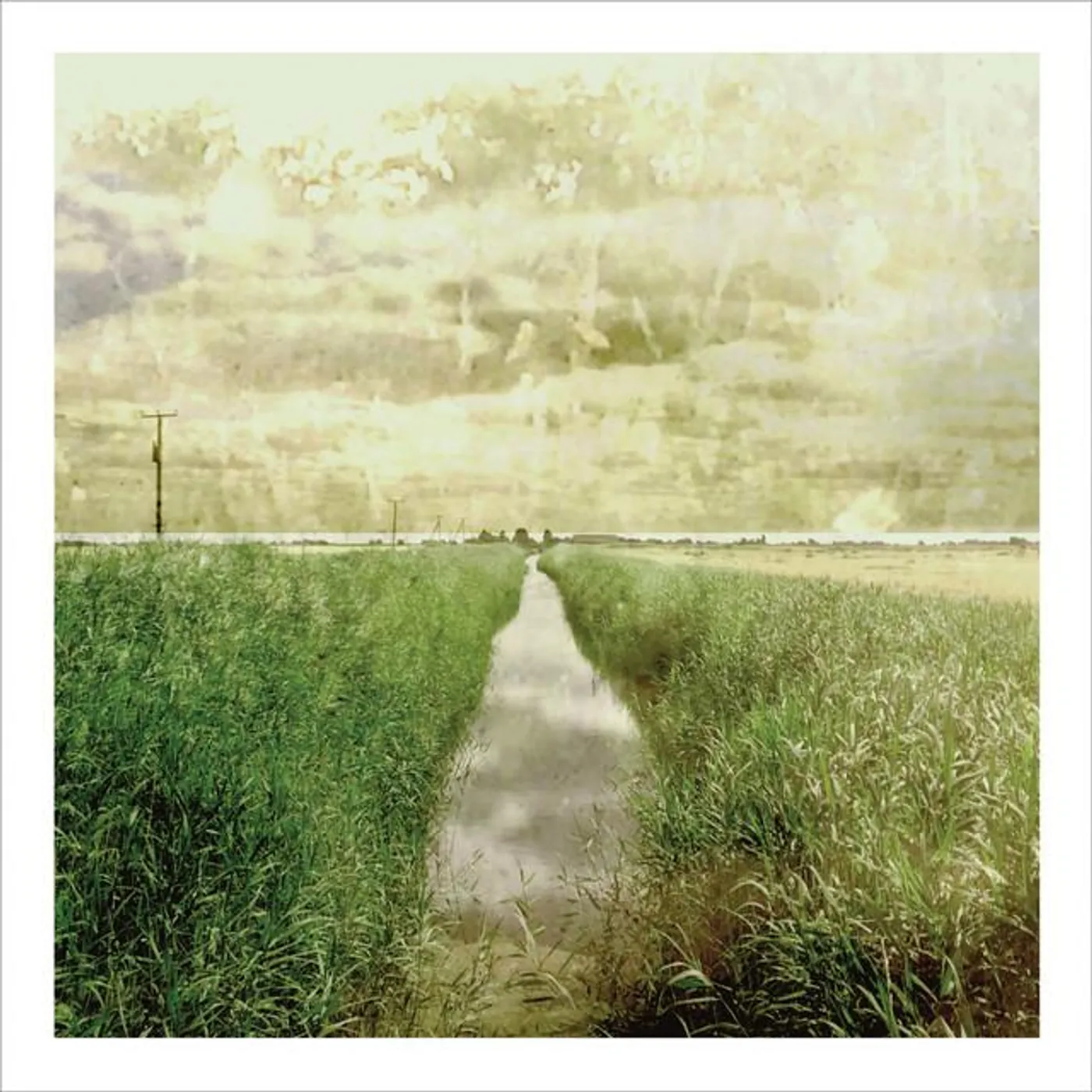 Simon Scott Brand Page