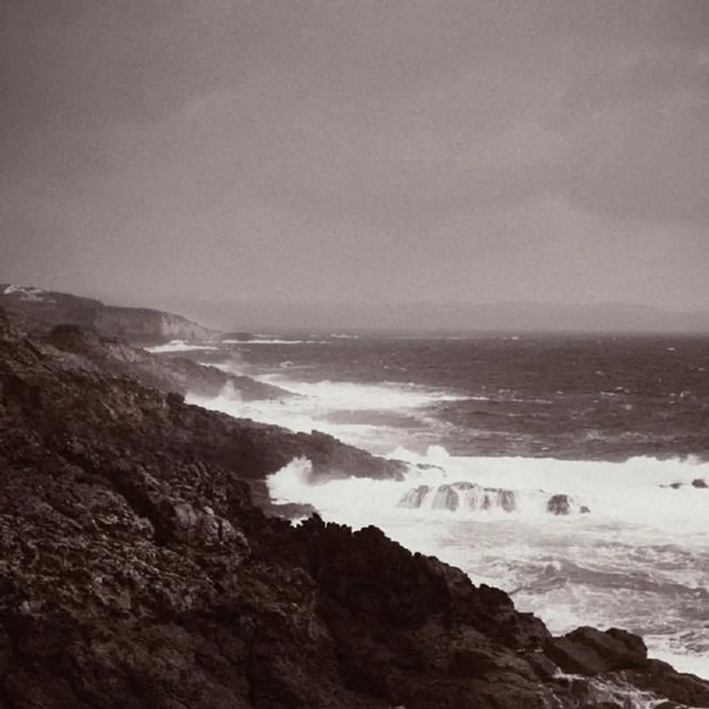 Simulacro Brand Page