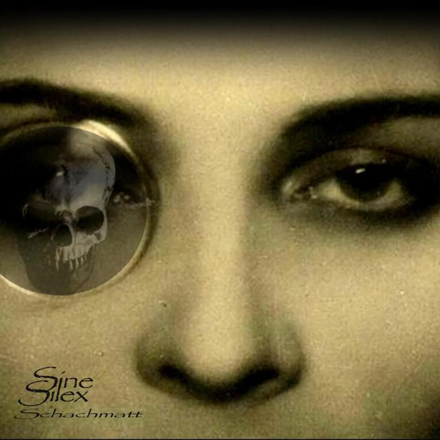 SINE SILEX Brand Page