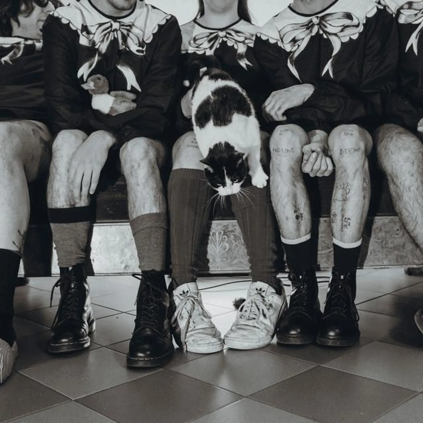 Siouxie and the Skunks