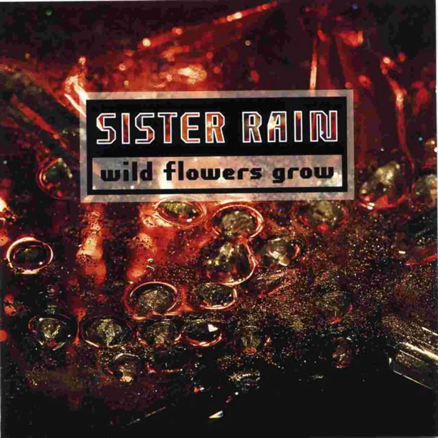 Sister Rain Brand Page