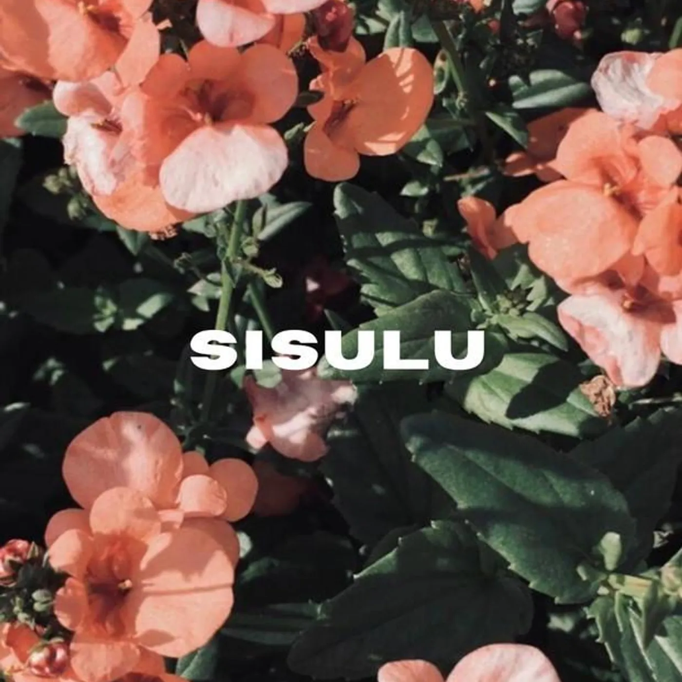 Sisulu Brand Page