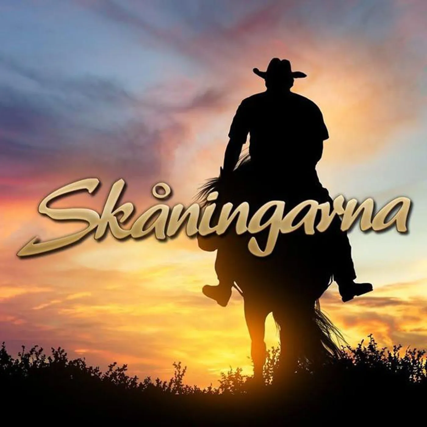 Skåningarna Brand Page