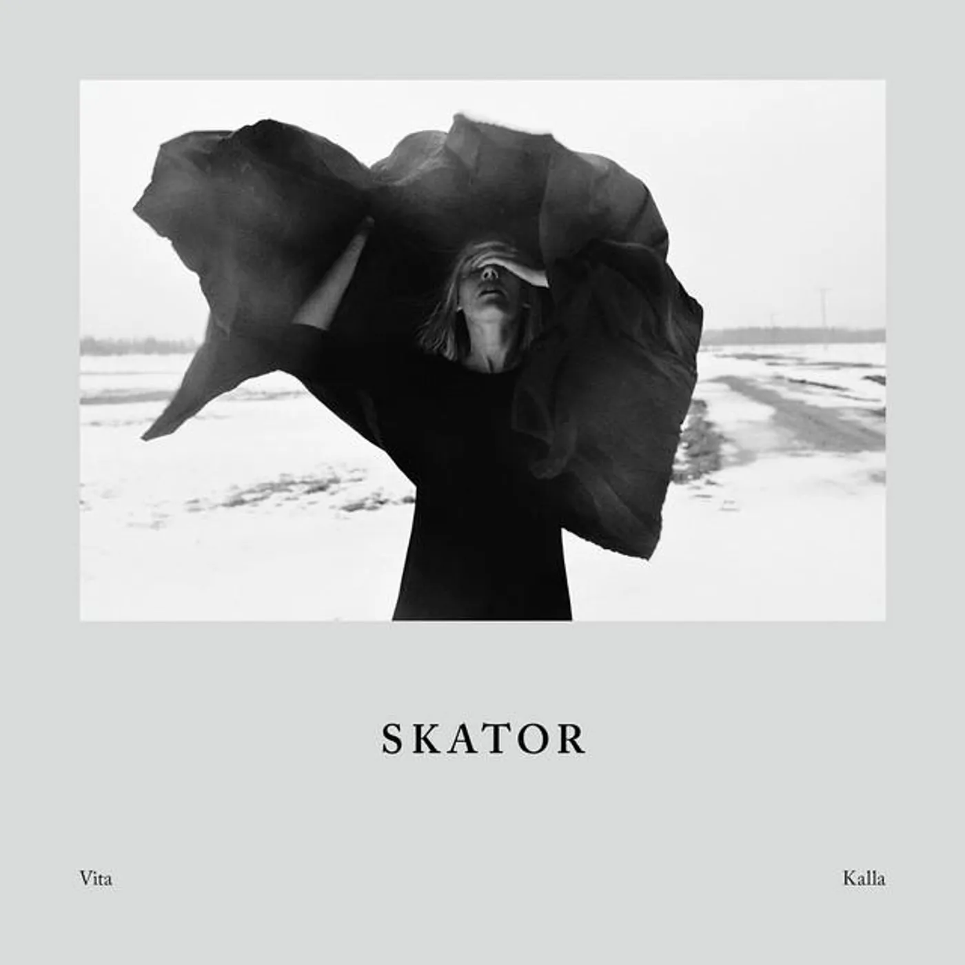Skator