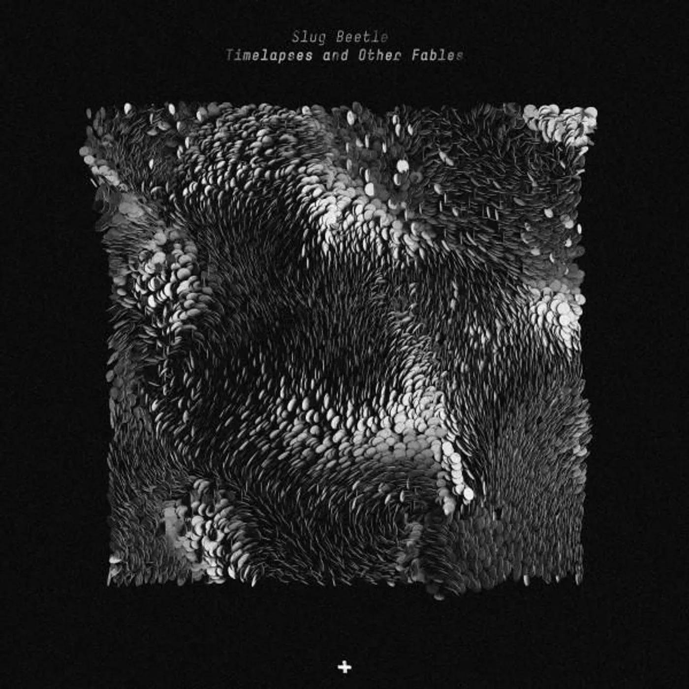 Slug Beetle Brand Page