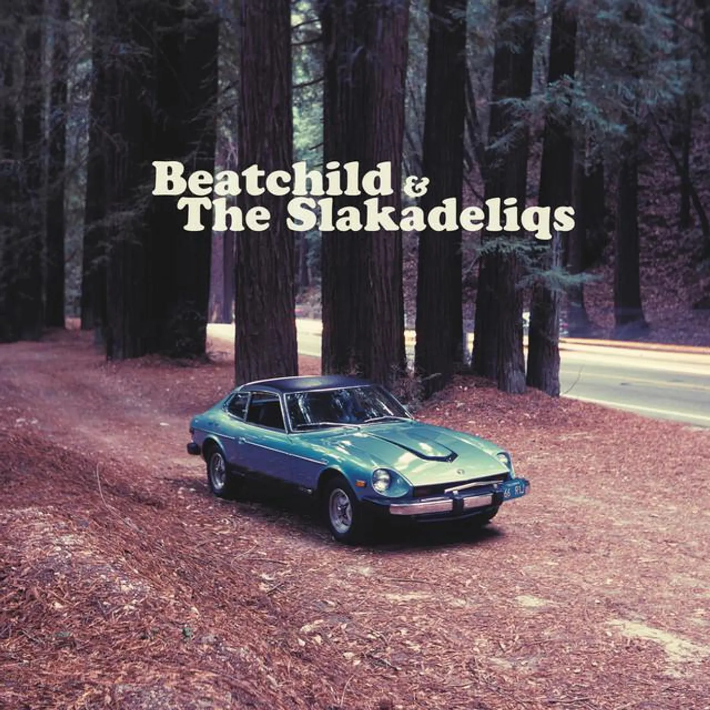 The Slakadeliqs Brand Page