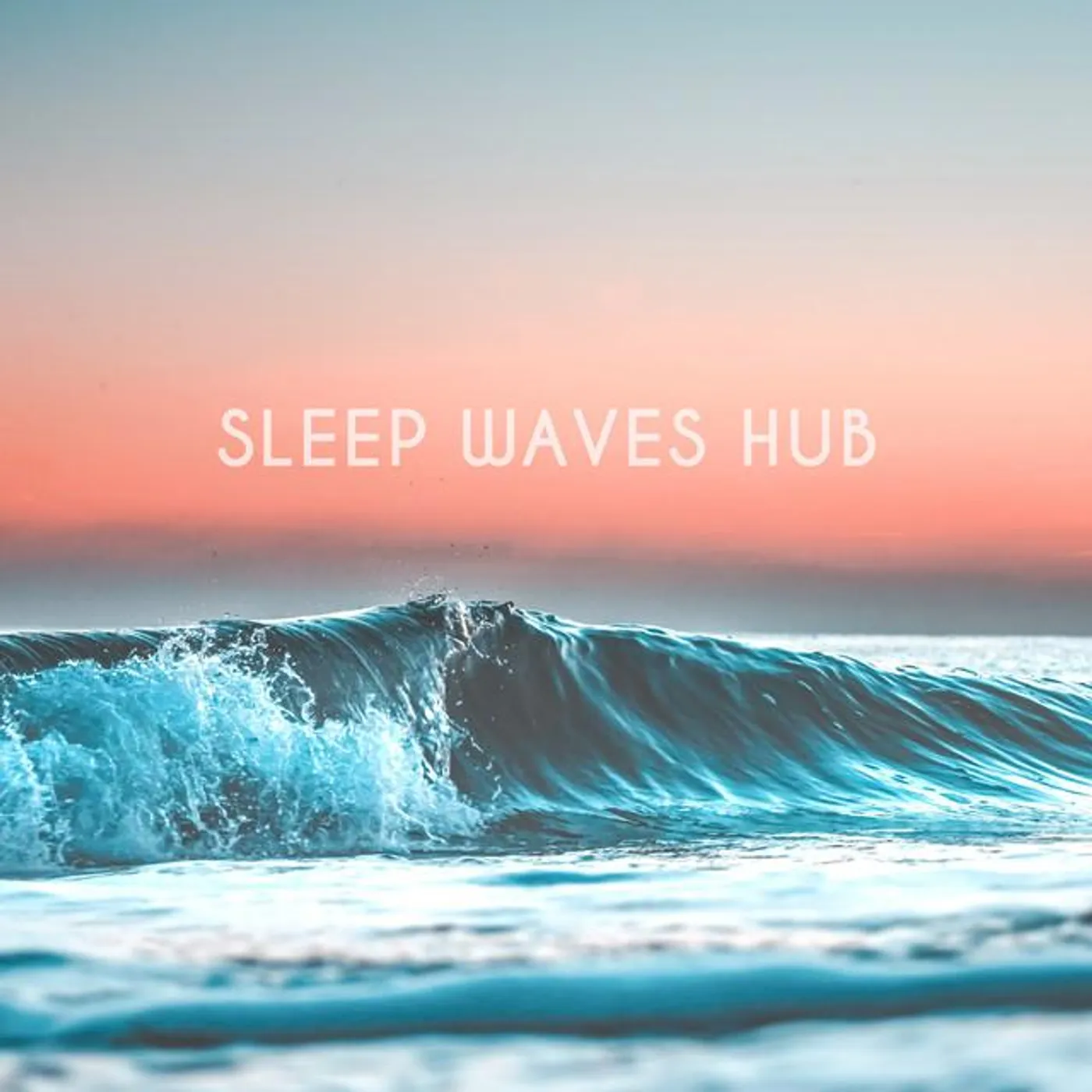 Sleep Waves Hub Brand Page