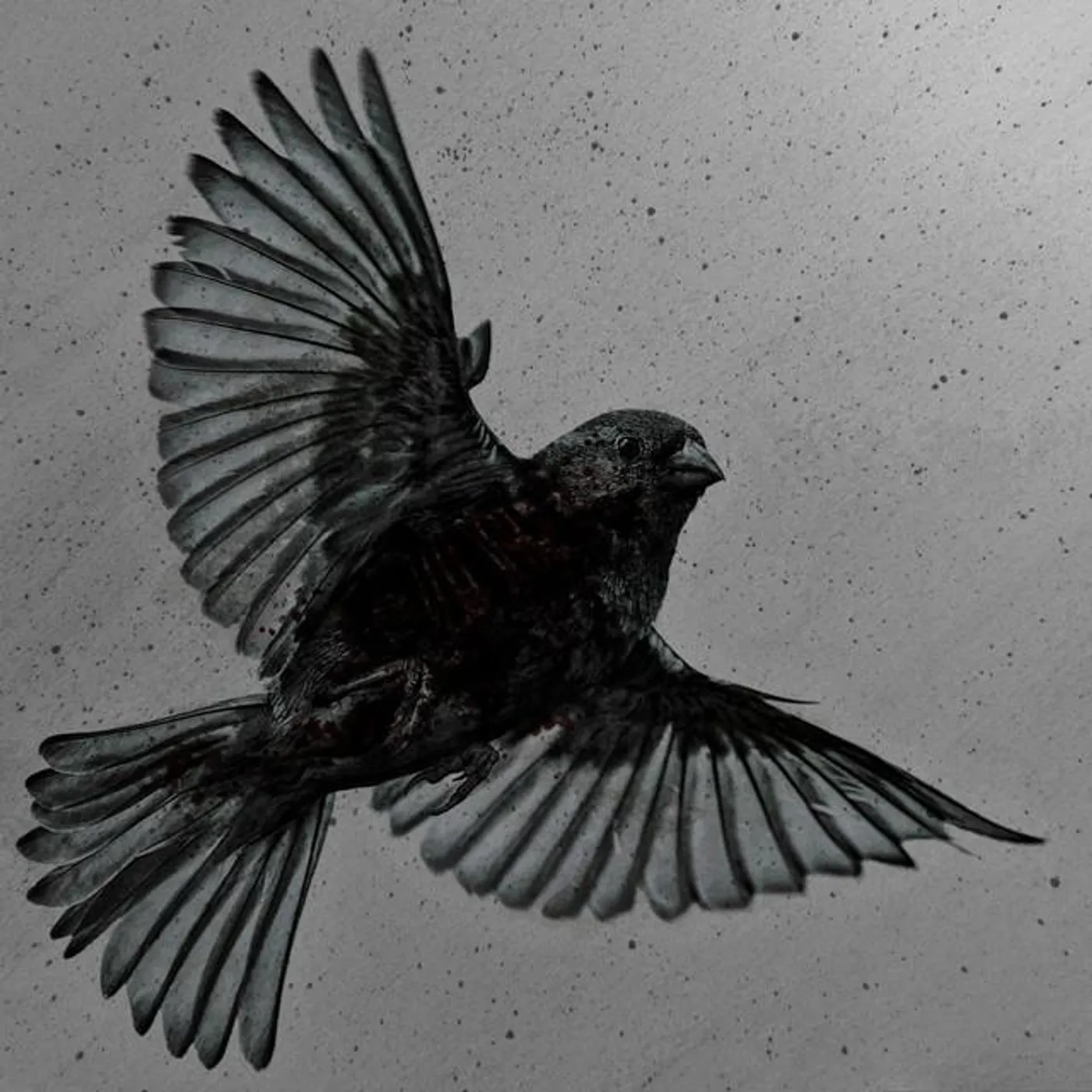 Sleep Torture Brand Page