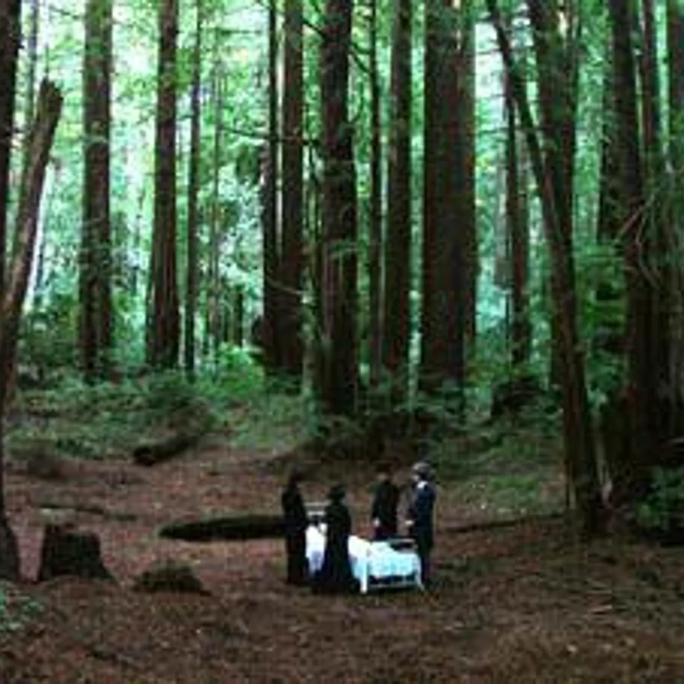 Sleepytime Gorilla Museum Brand Page